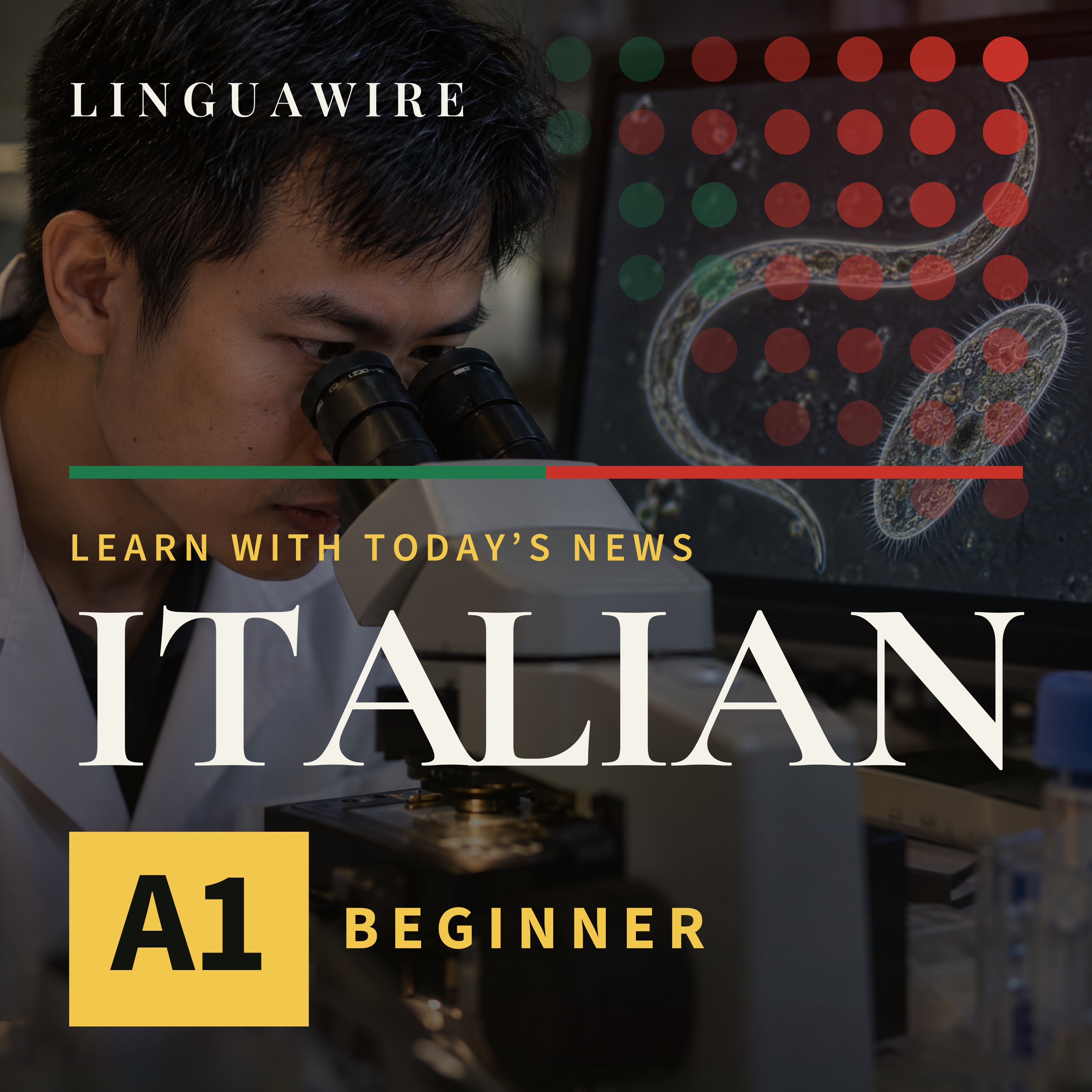 A1 Italian News | Why Vietnam Has a New Microscopy Video Winner