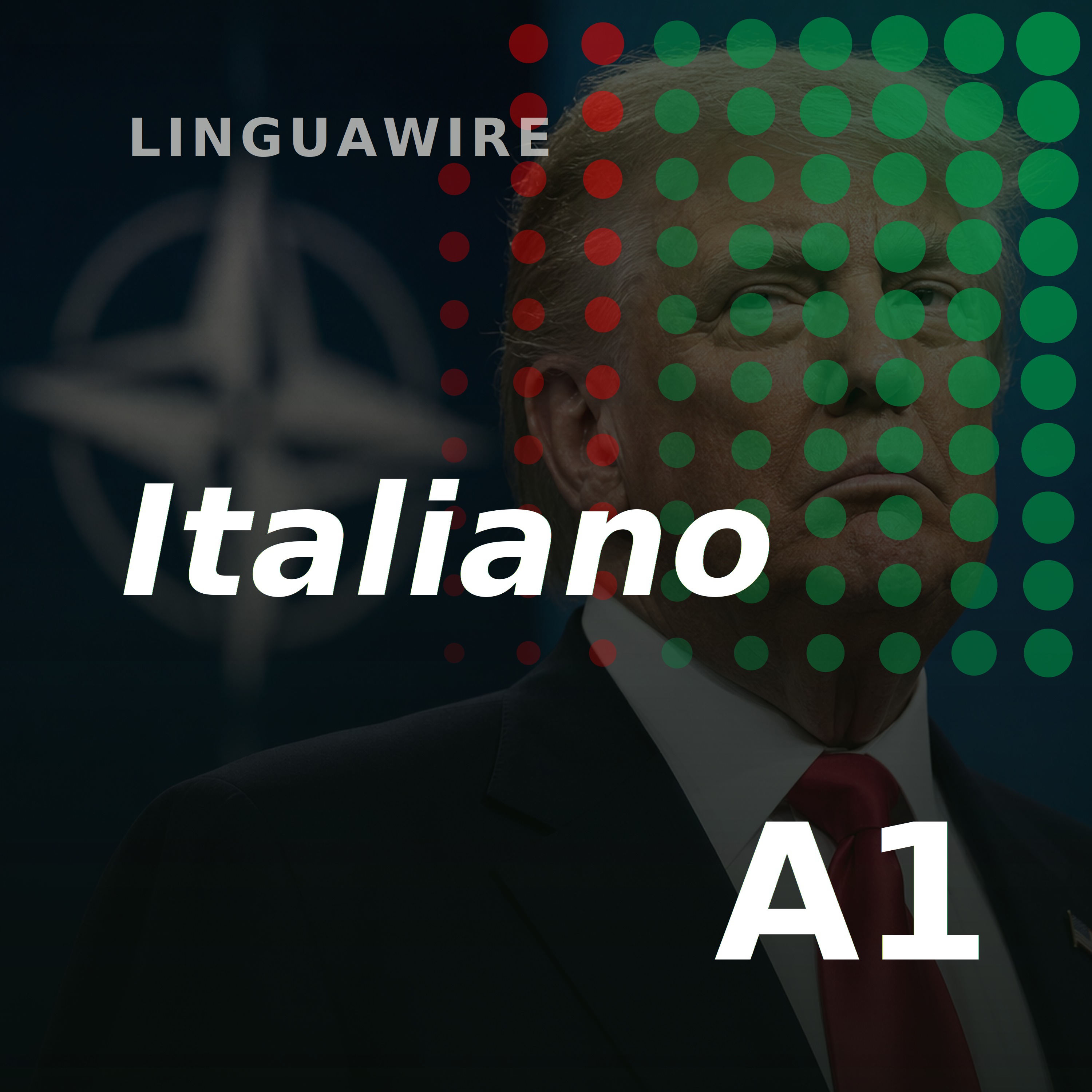 A1 Italian News | Can Trump Shake Up Nato Again?