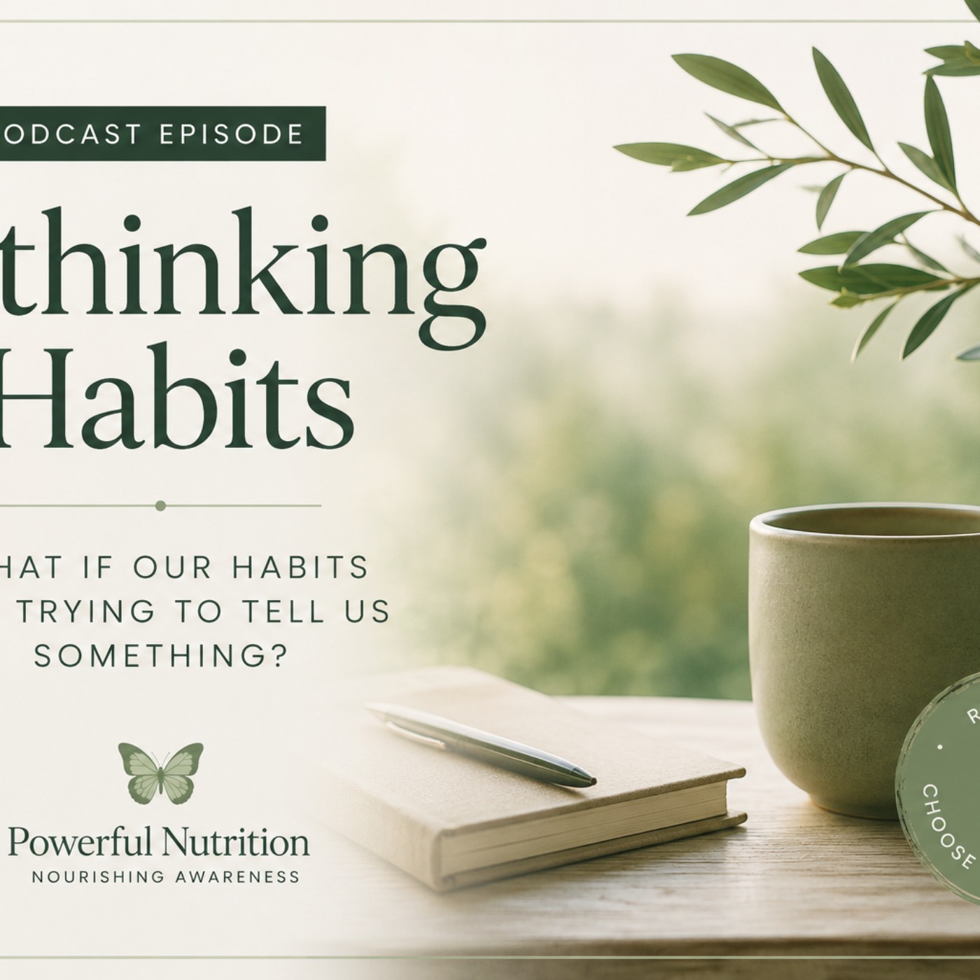 Rethinking Habits episode artwork