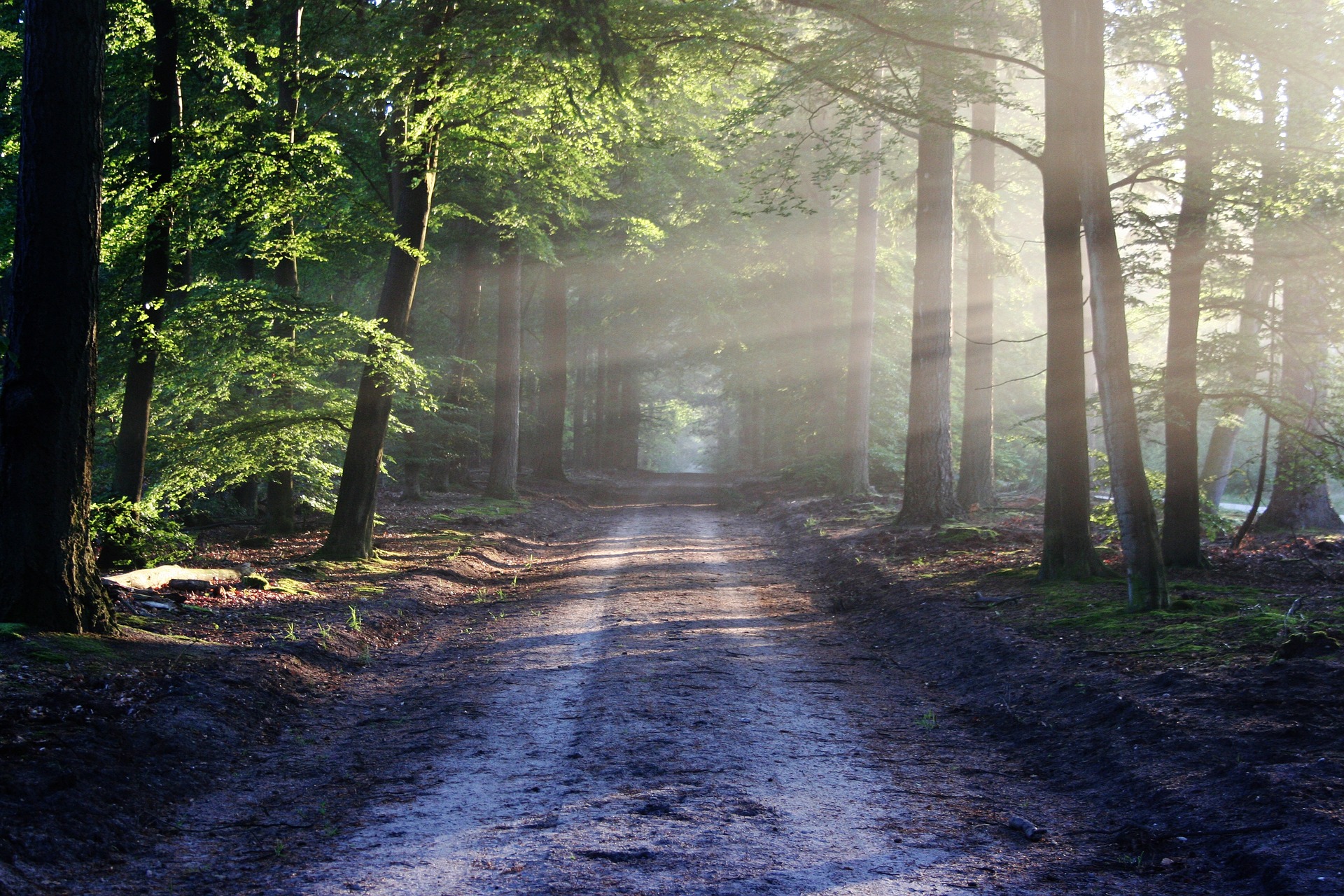 Daily Visualization for Life Purpose, Clarity & Direction ✨ Transform Your Path episode artwork
