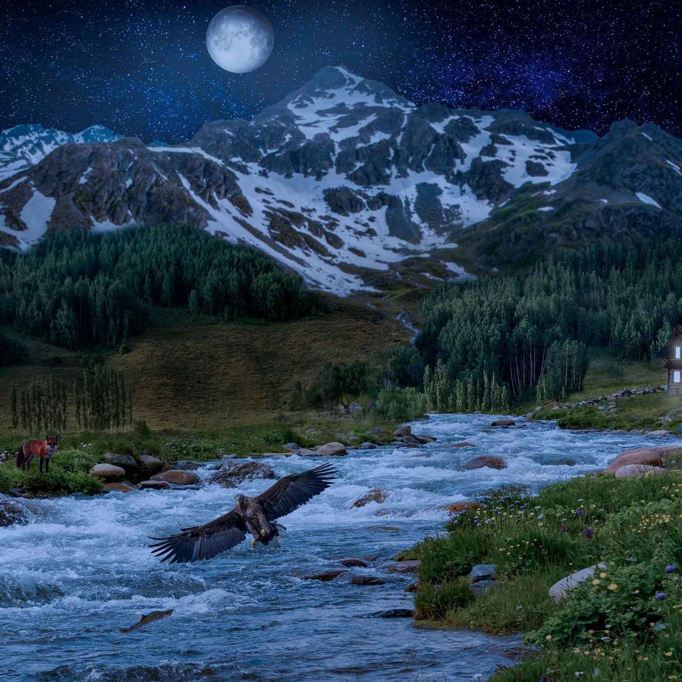 Deep Sleep Meditation | Guided Journey for Blissful Rest & Calm episode artwork