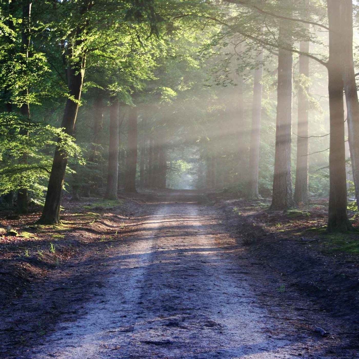 Guided Meditation for Inner Strength | Find Your Power & Resilience episode artwork