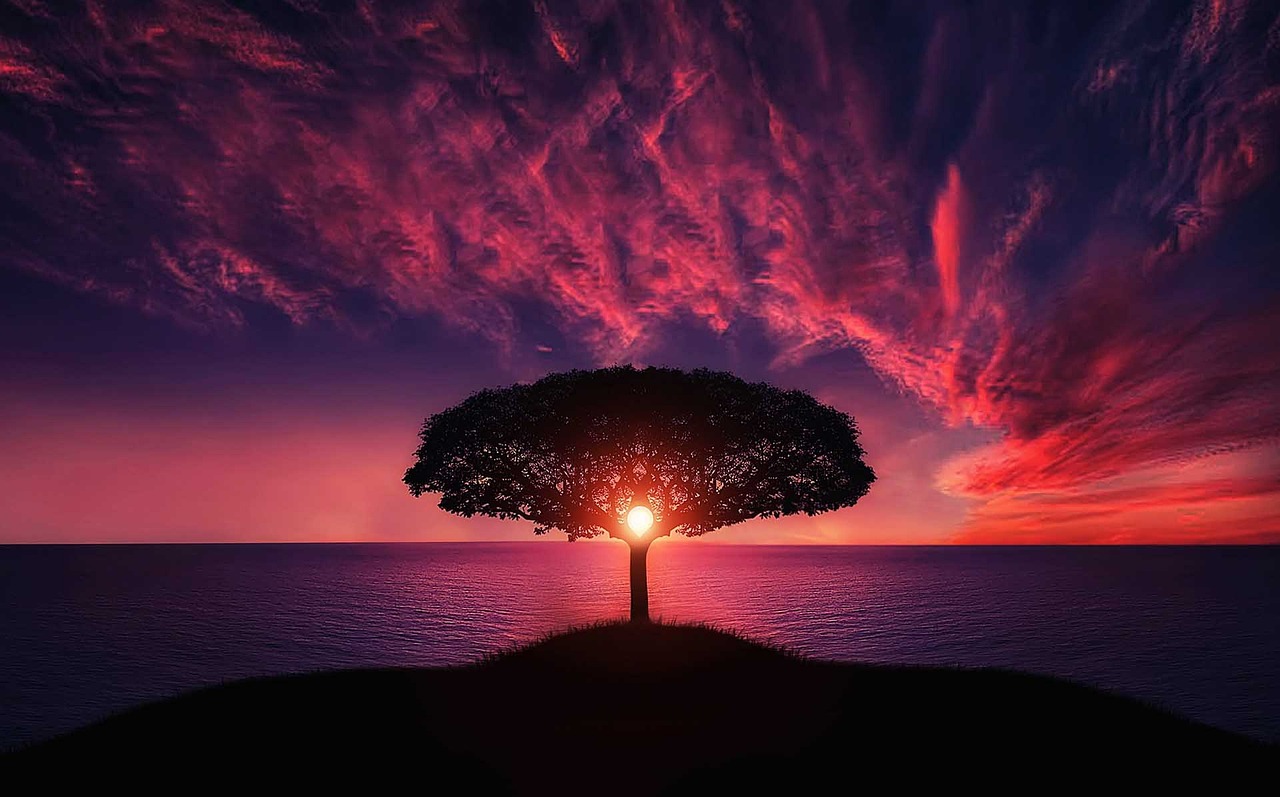 Guided Meditation: Energy Cleanse, Protection & Shielding | Self Healing | Soul Energy Activation