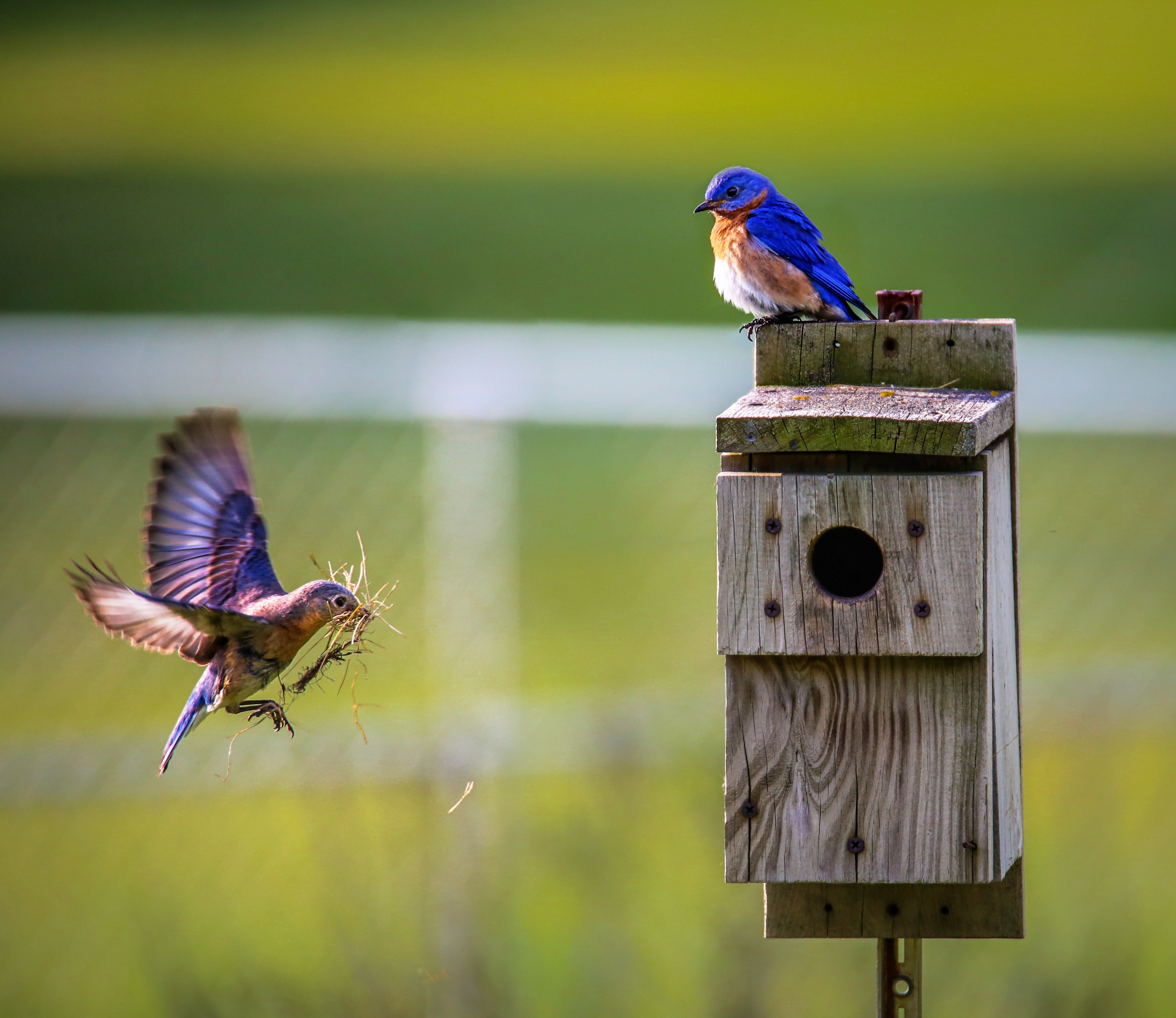 Short Self-Compassion Guided Meditation for Perfectionism | Self-Compassion and Perfectionism Meditation episode artwork
