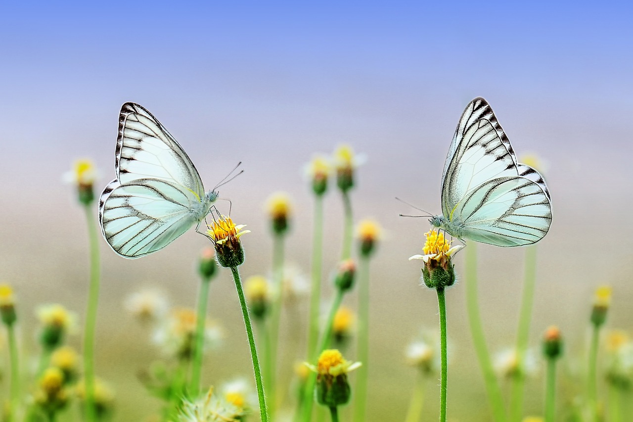 Guided Meditation For Overcoming Fear & Shifting Reality | 15 Minutes Of Peace episode artwork