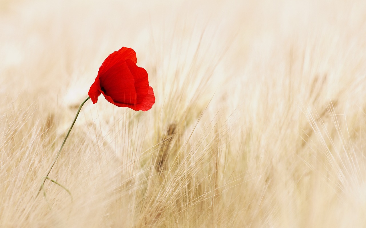 The Ultimate 10 Minute Inclusive Walking Meditation to Reduce Stress and Anxiety