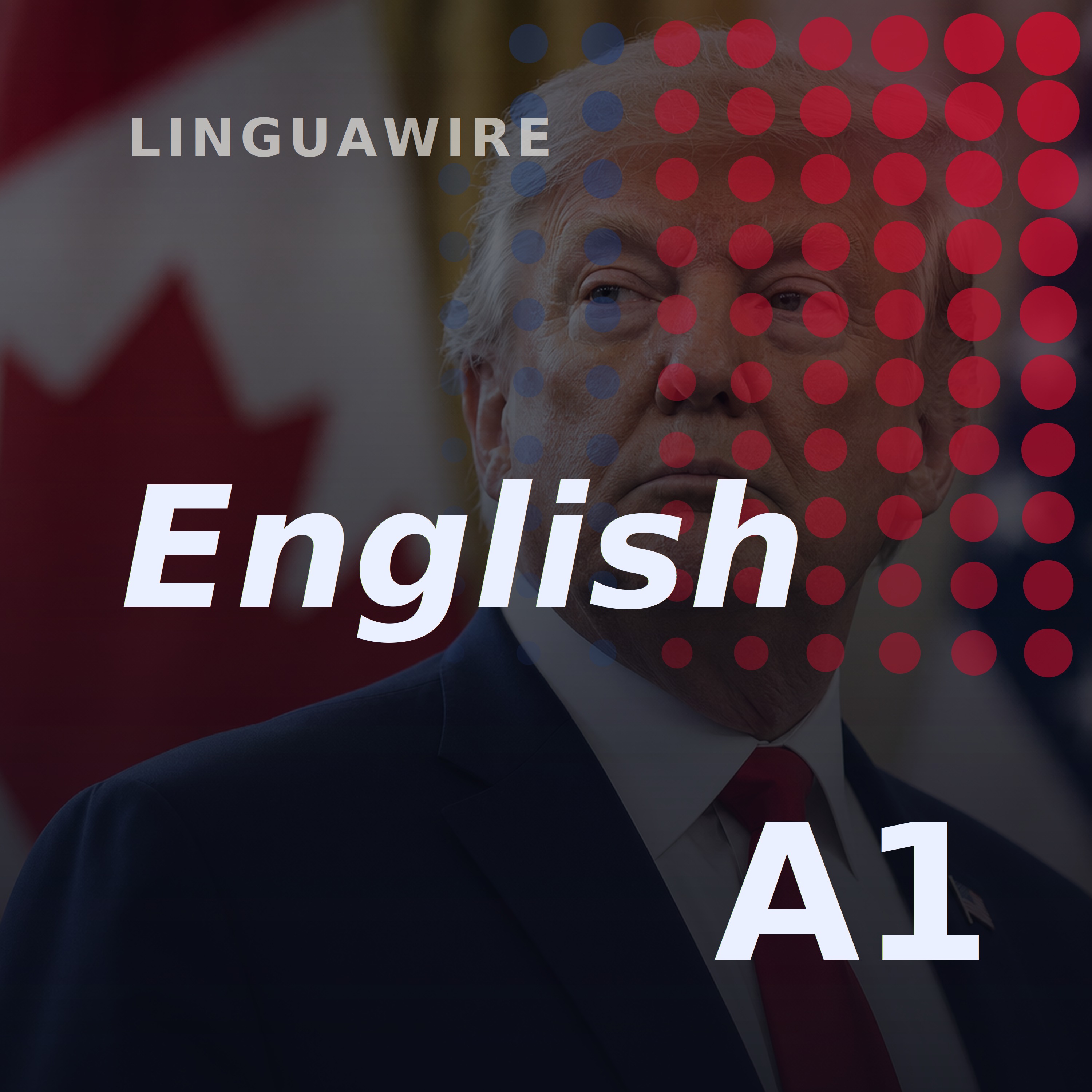 A1 English News | Canada's Dairy Sector Faces Trump's Tariff Fight episode artwork