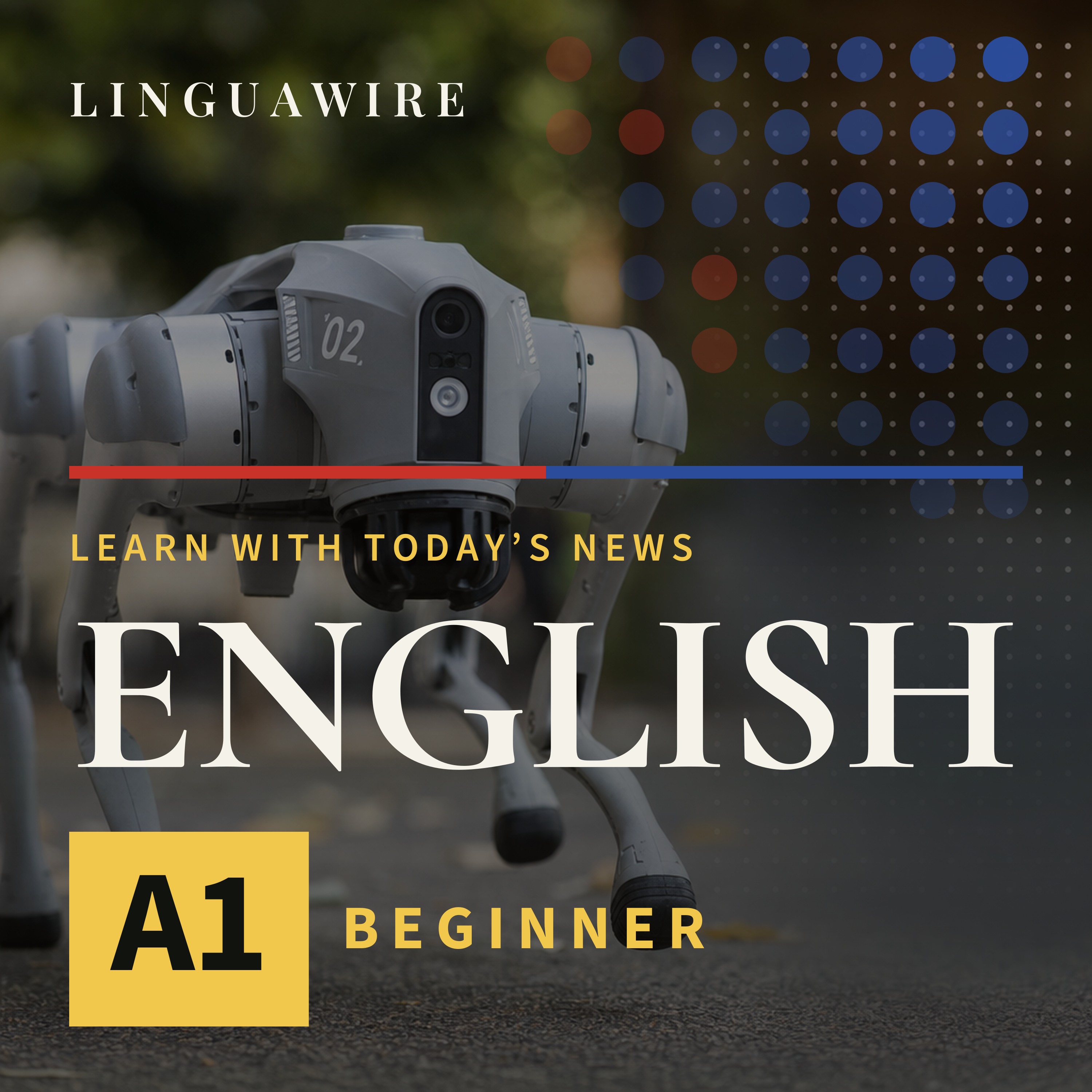 A1 English News | Why a $4,000 Robot Dog Turns Heads episode artwork