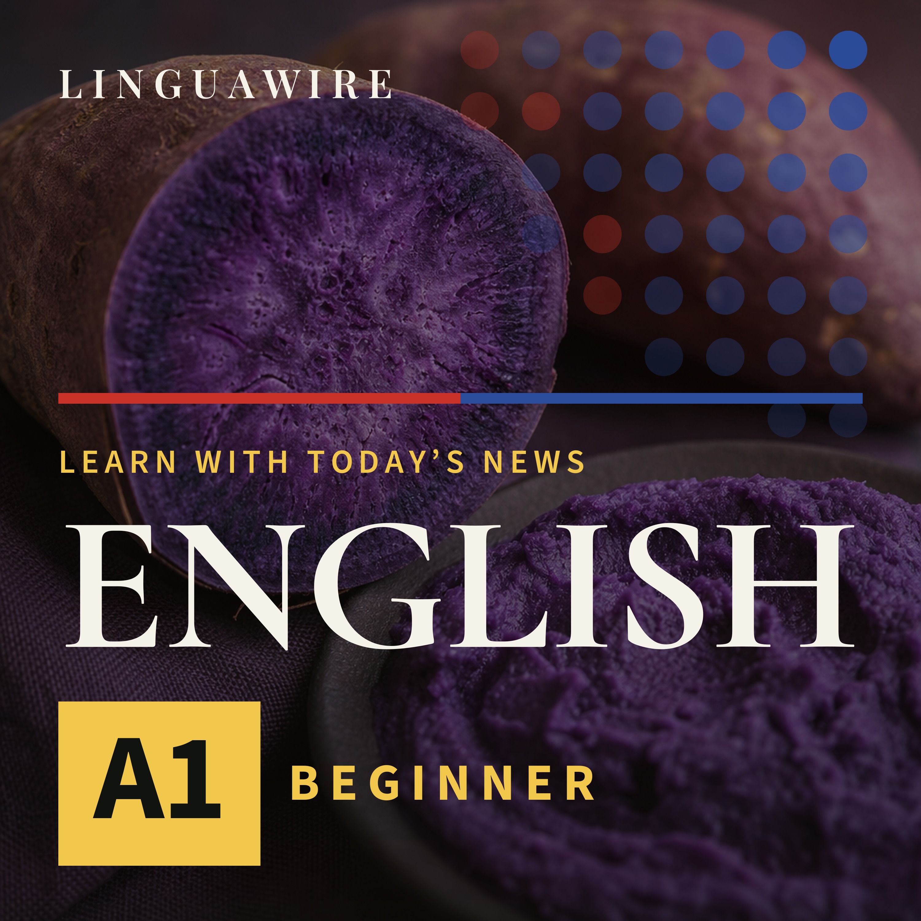 A1 English News | Why Is Britain's Purple Ube Craze Facing a Halt?