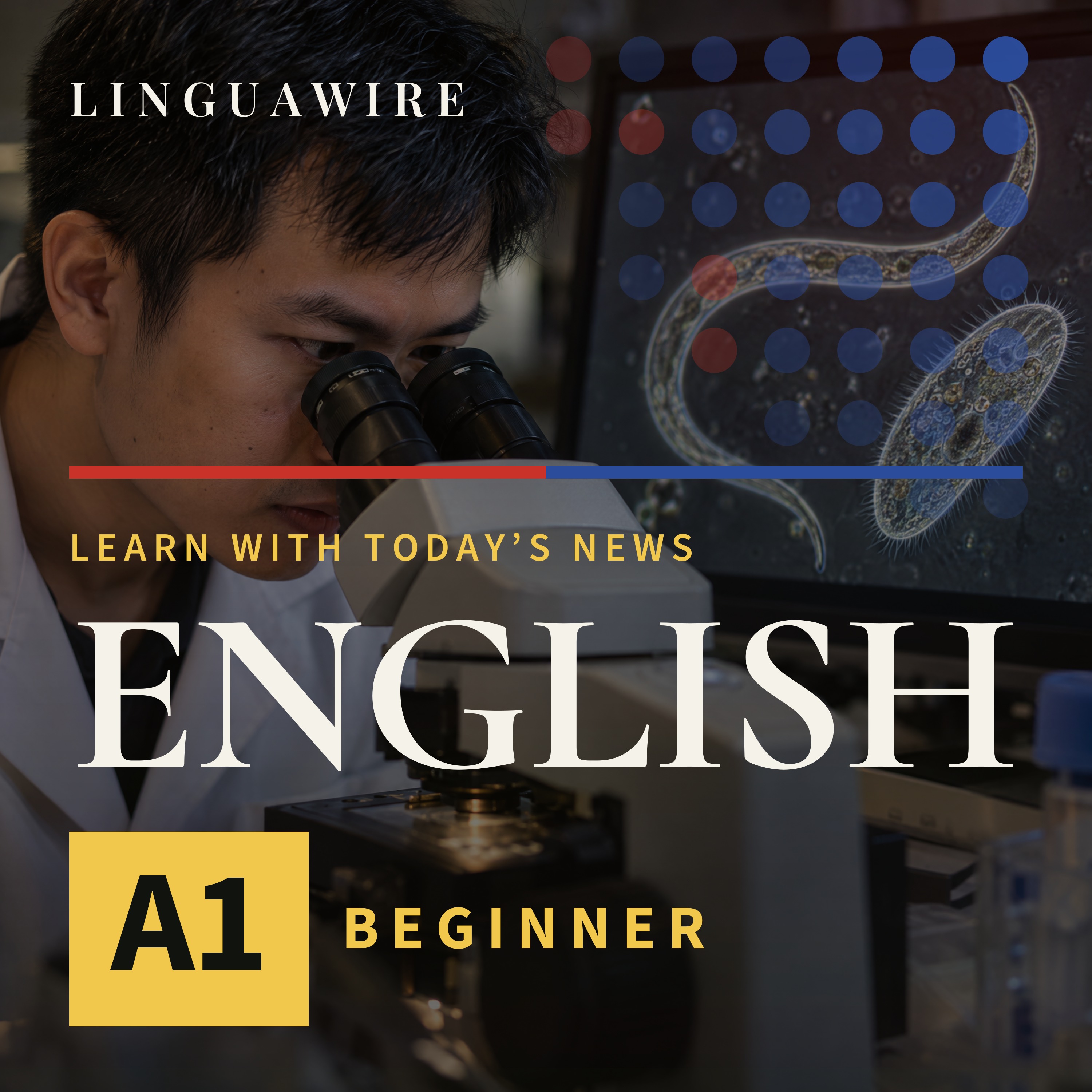 A1 English News | Why Vietnam Has a New Microscopy Video Winner