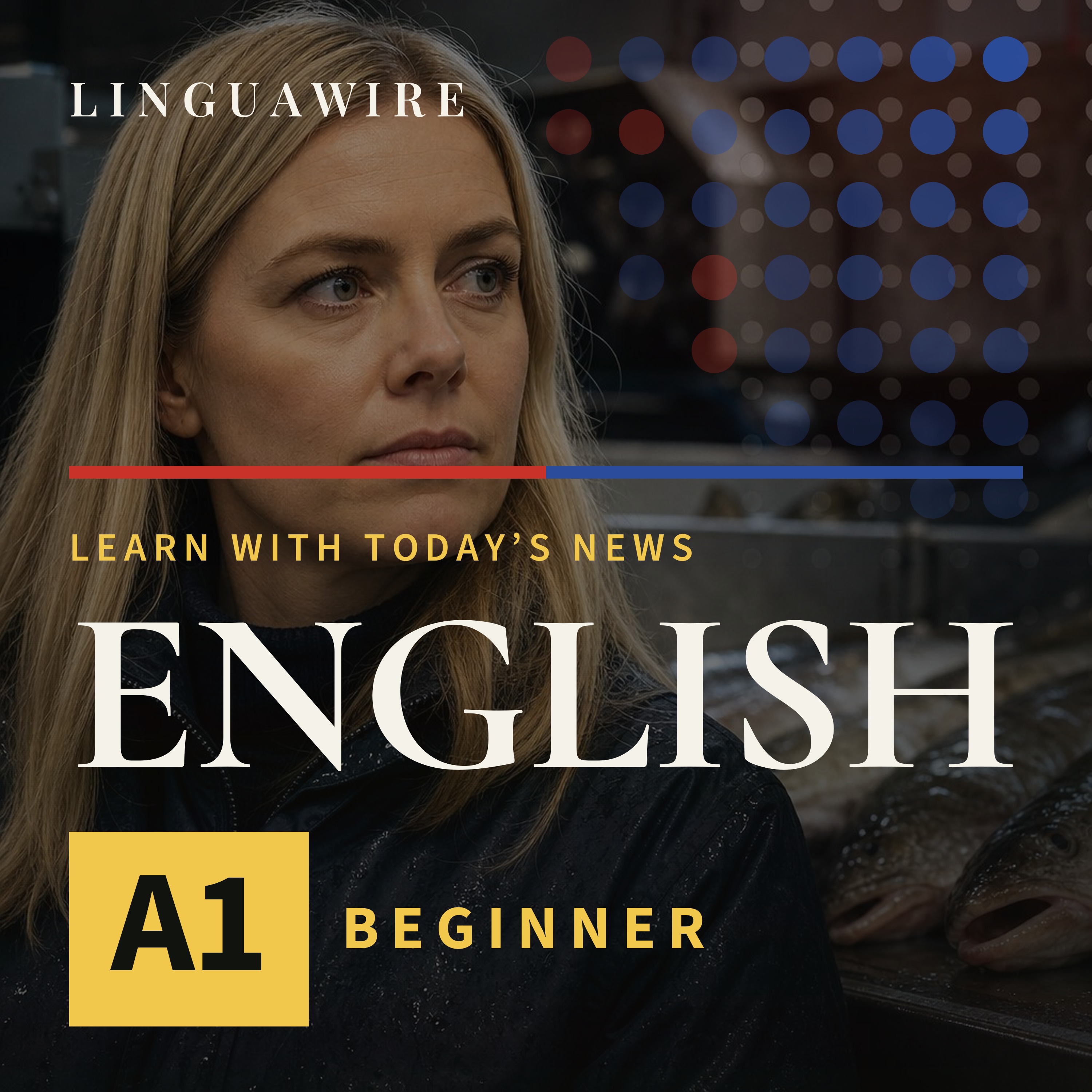 A1 English News | Can Iceland's EU Vote Be Decided by Fish? episode artwork
