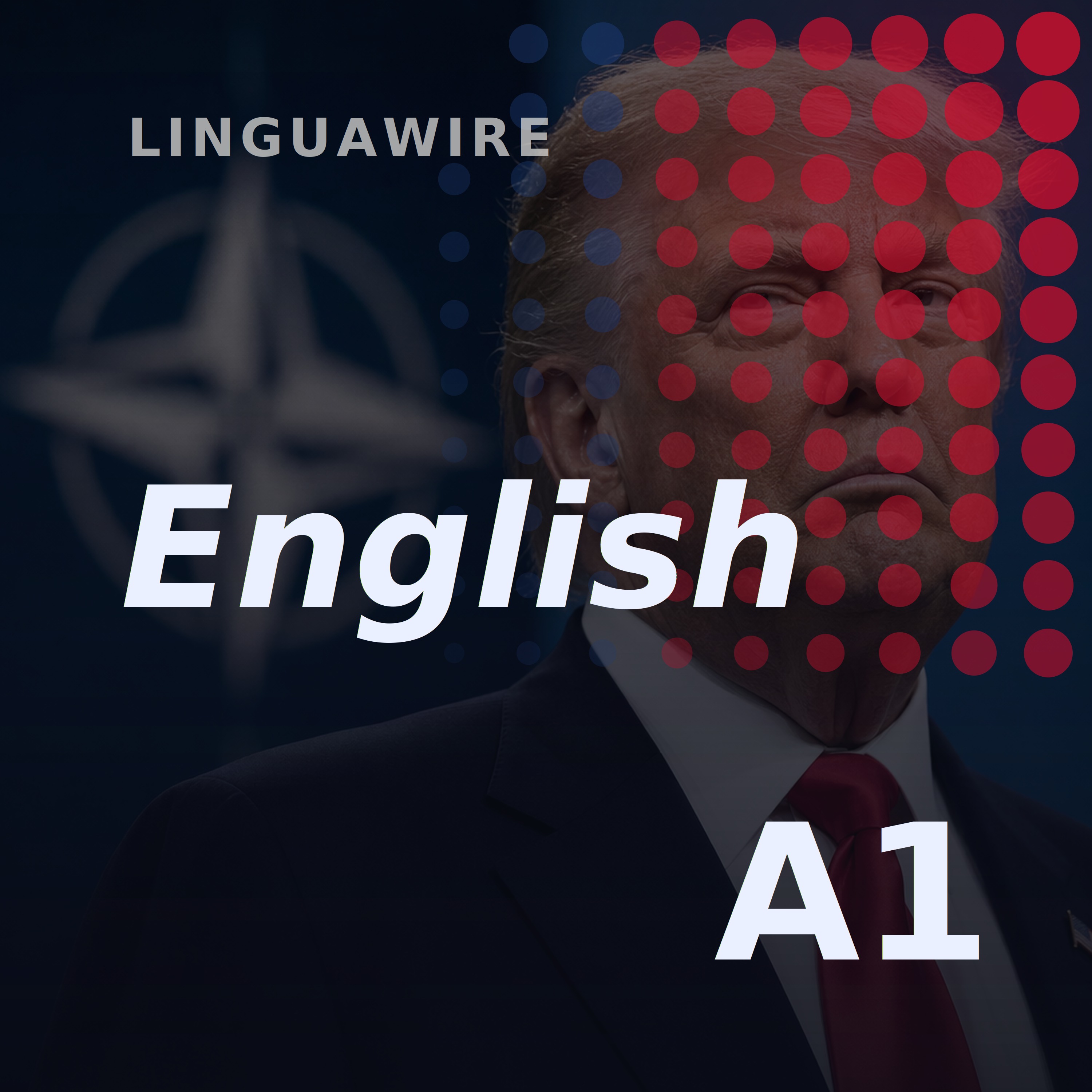 A1 English News | Can Trump Shake Up Nato Again? episode artwork