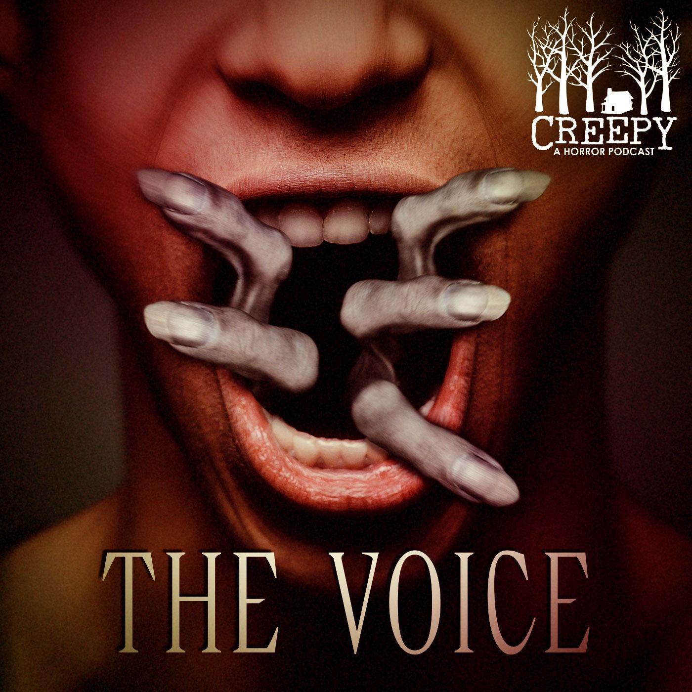 The Voice