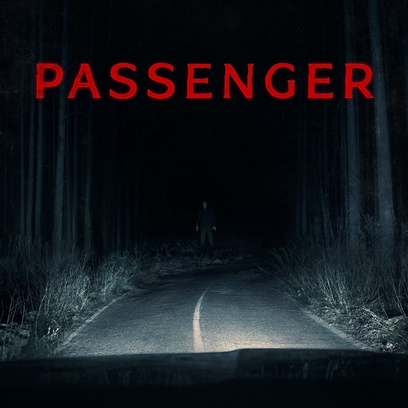 Traffic Stop & I Left the Scene of an Accident episode artwork