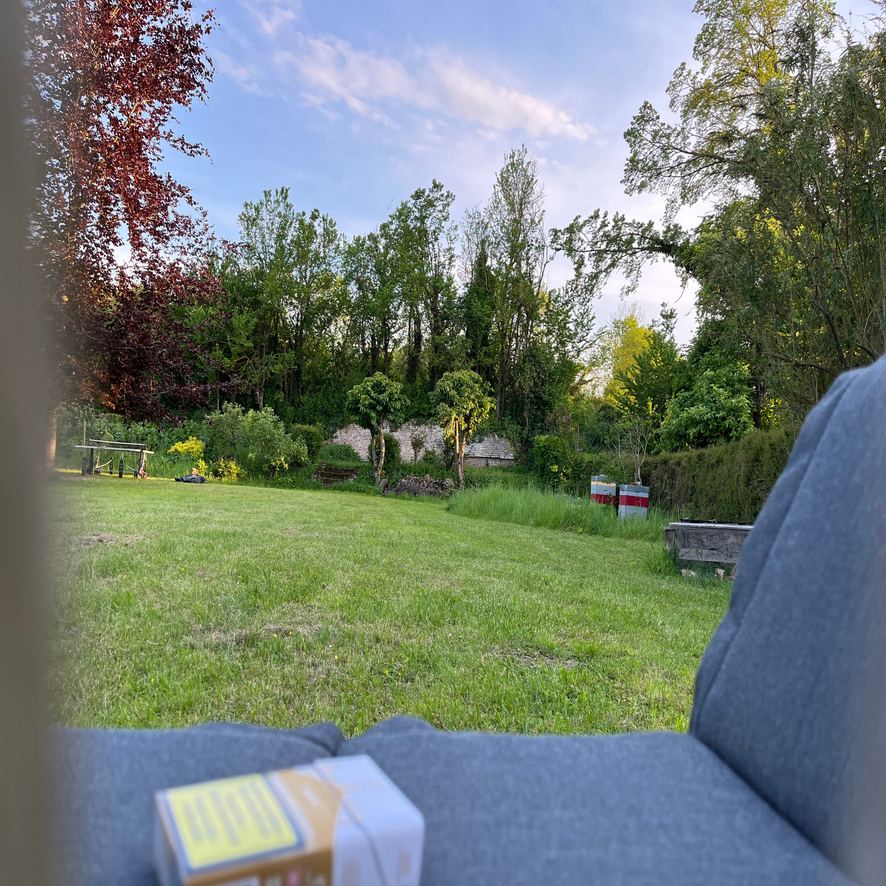 Un jardin sans prétention ouvre les portes de l'amitié  episode artwork