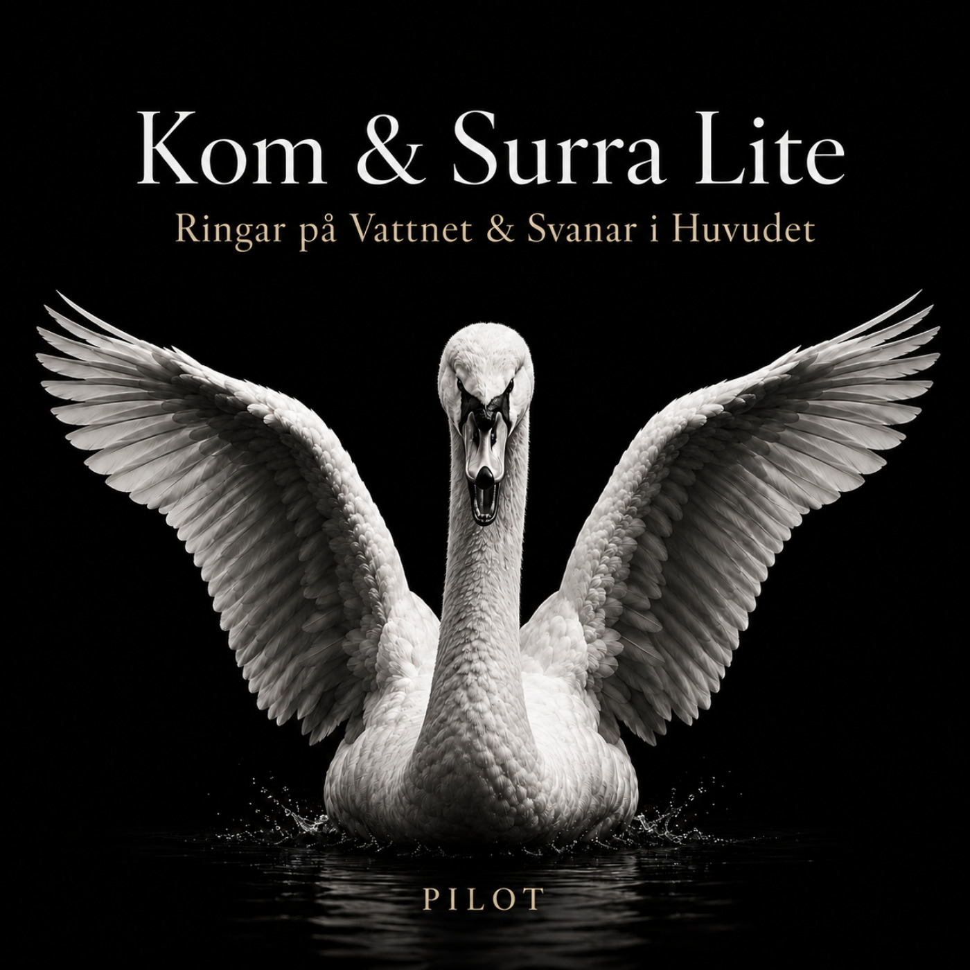 Ringar på Vattnet & Svanar i Huvudet (Pilot 1) episode artwork
