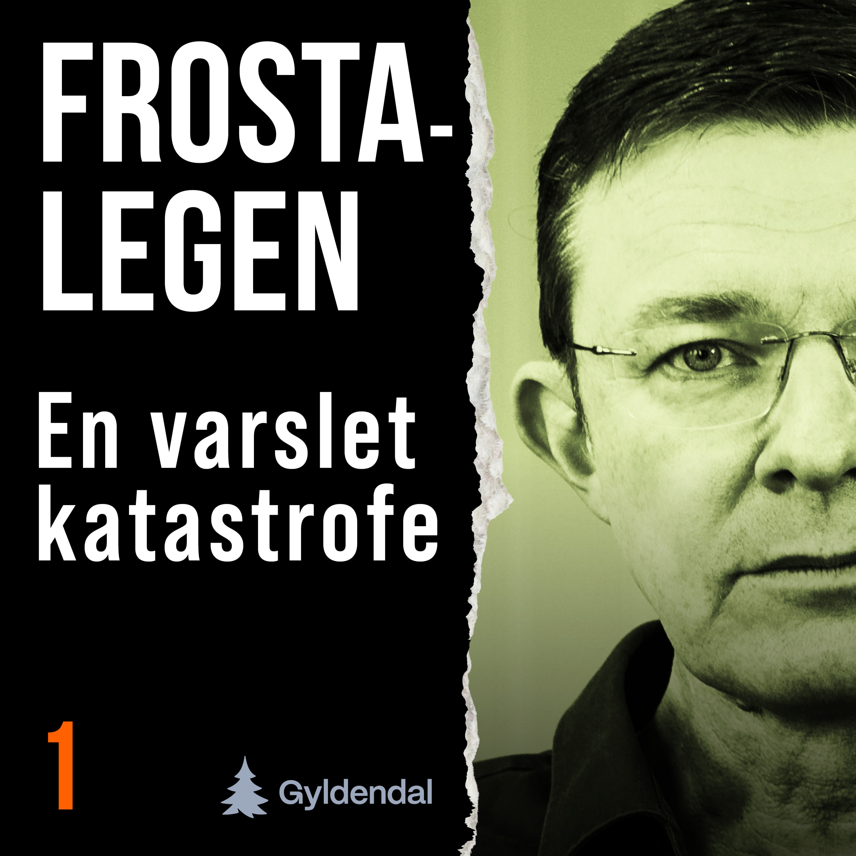 Frosta-legen. En varslet katastrofe