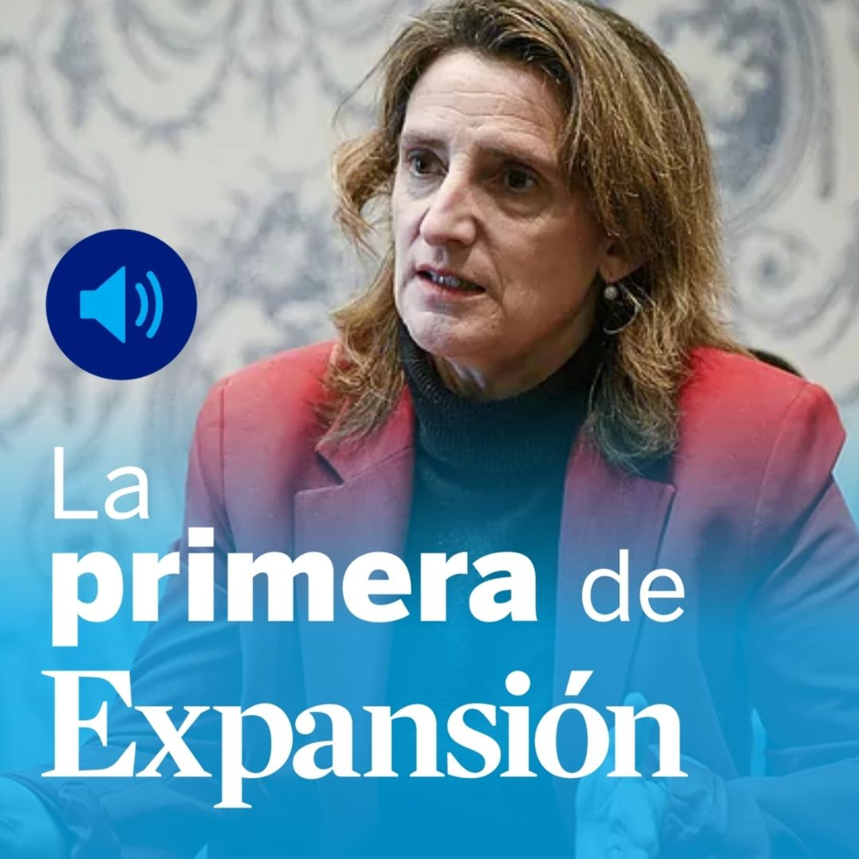Teresa Ribera, el Supremo, Goiko y la situación del mercado de fusiones y adquisiciones en España episode artwork