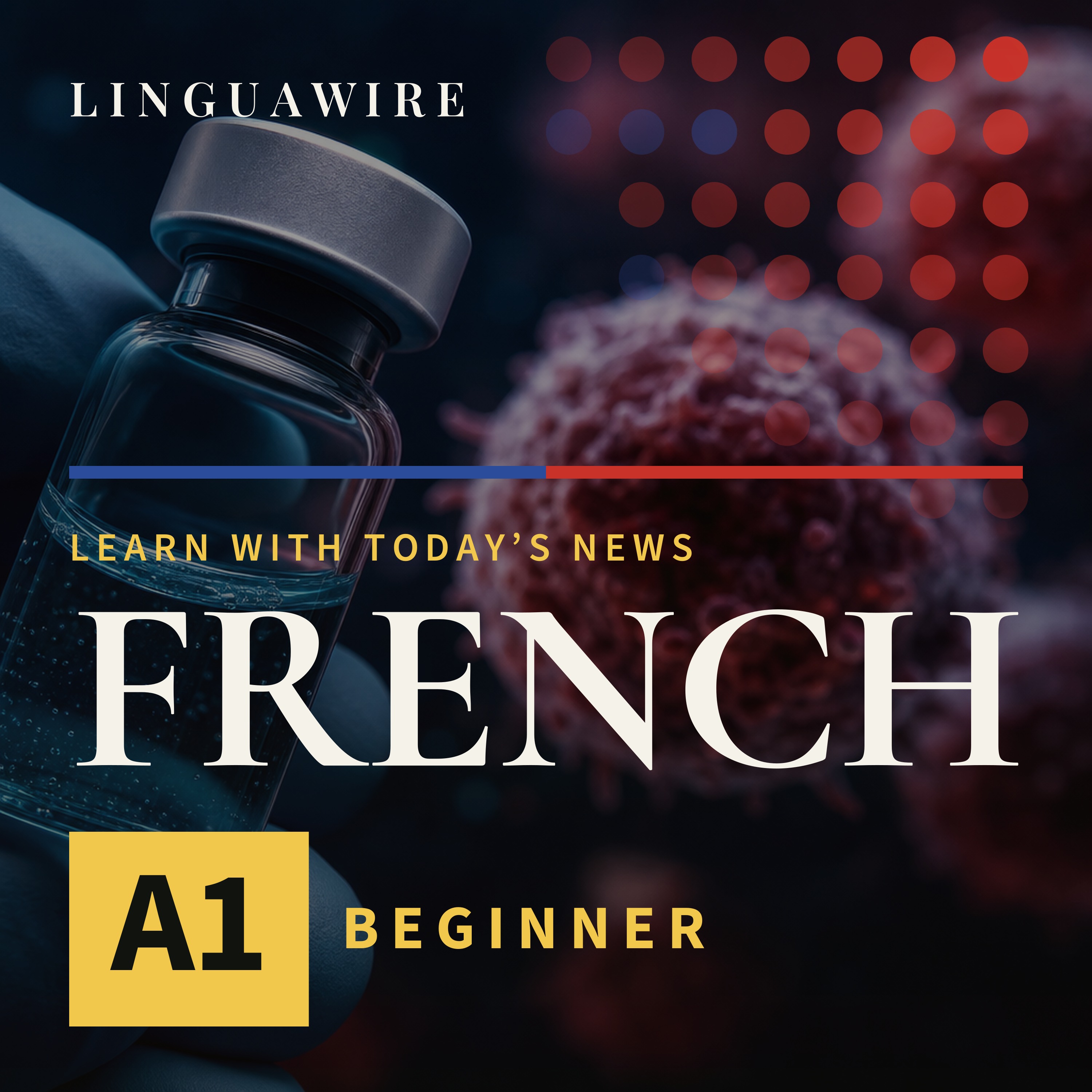 A1 French News | Can a Cancer Vaccine Help Stop Melanoma?