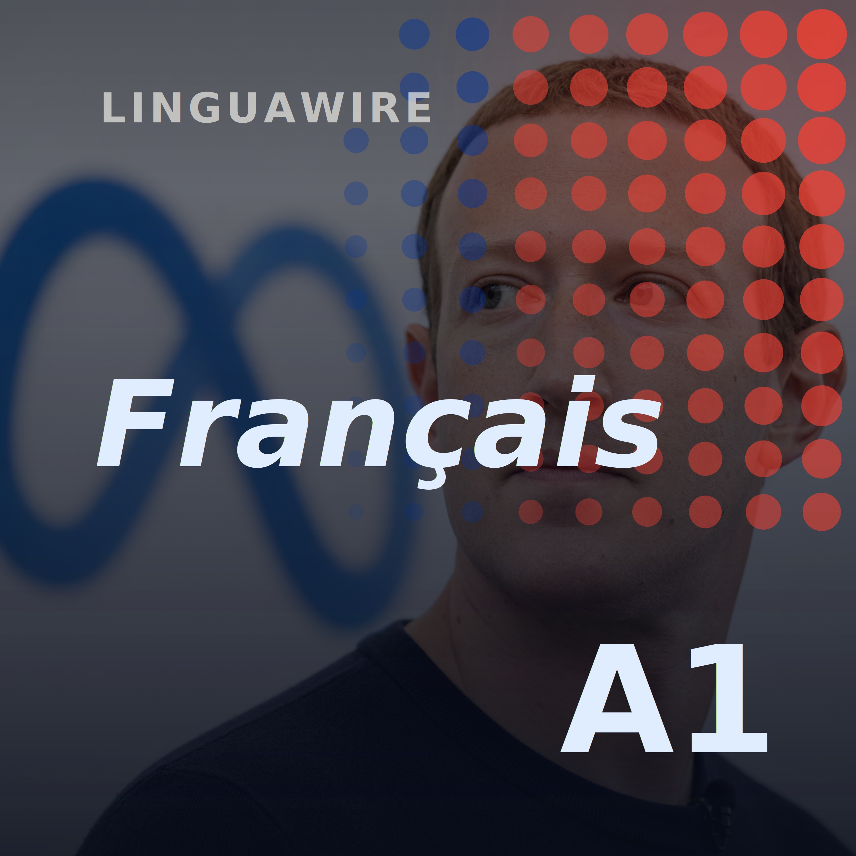 A1 French News | Why Meta Pulled Its New AI Image Tool