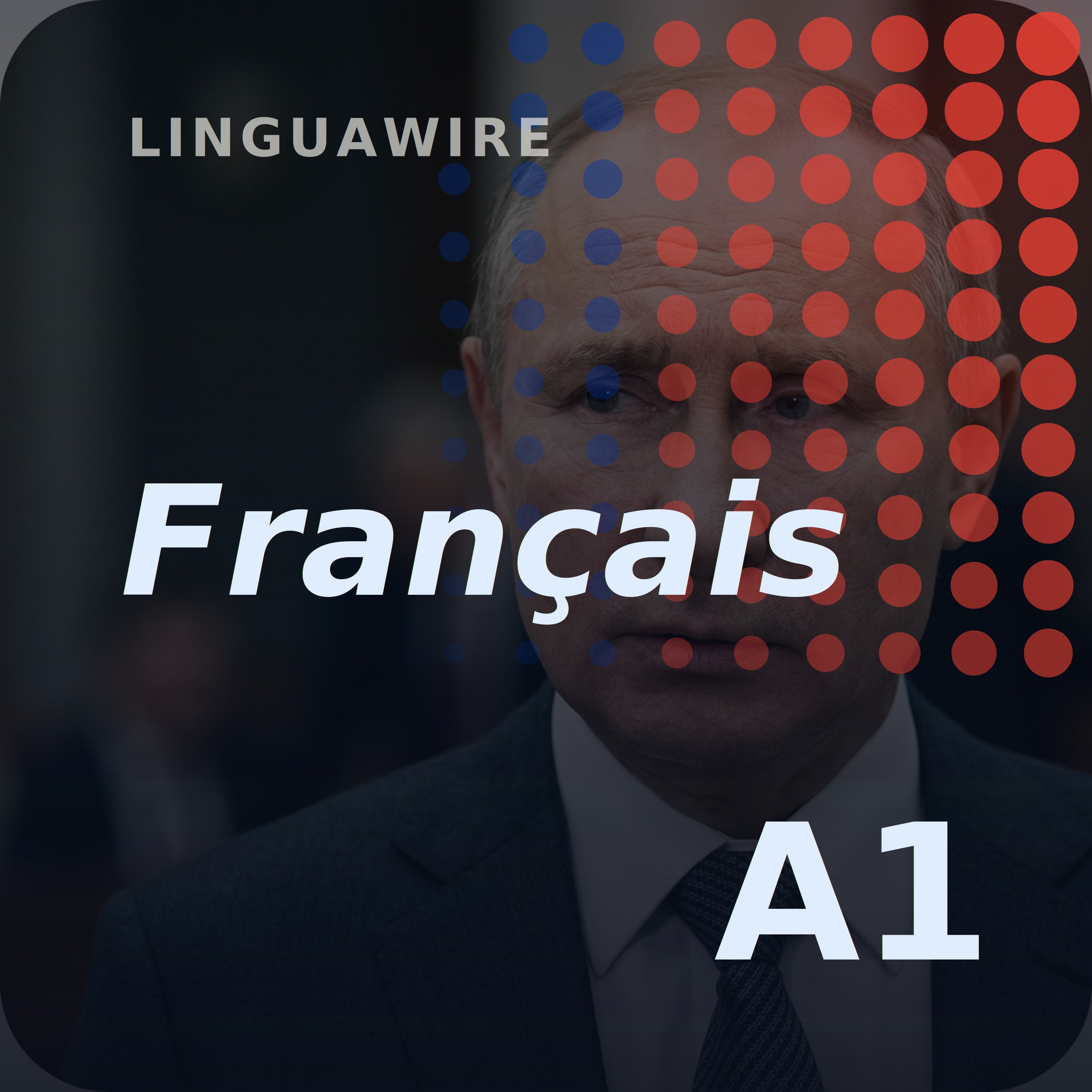 A1 French News | Putin Faces Russia's Growing Fuel Shortages episode artwork