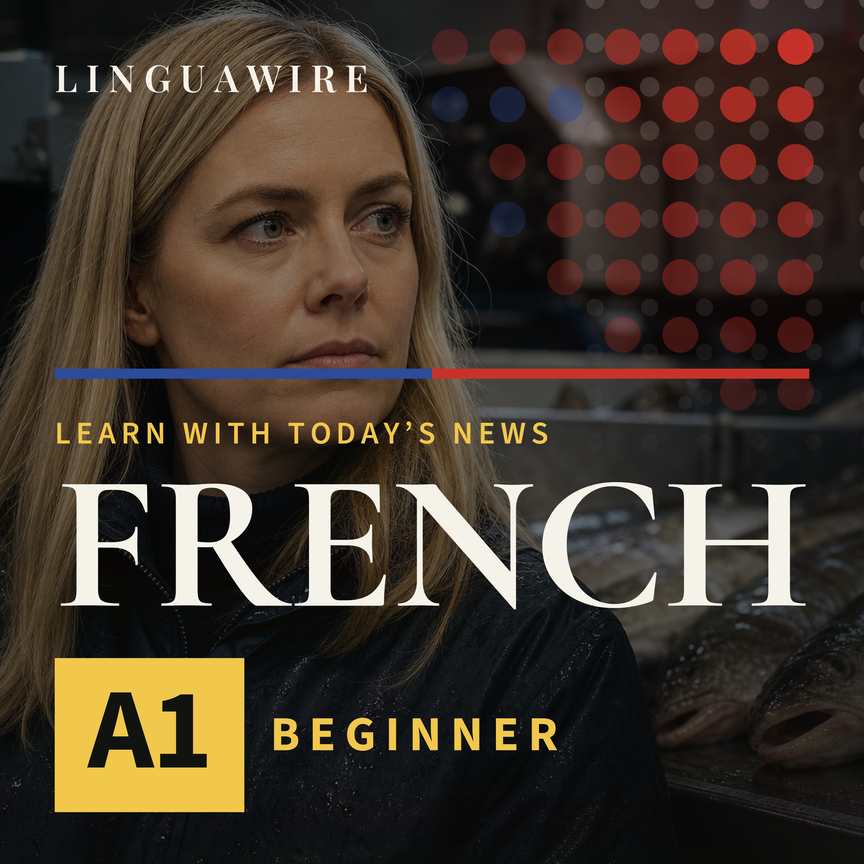 A1 French News | Can Iceland's EU Vote Be Decided by Fish?