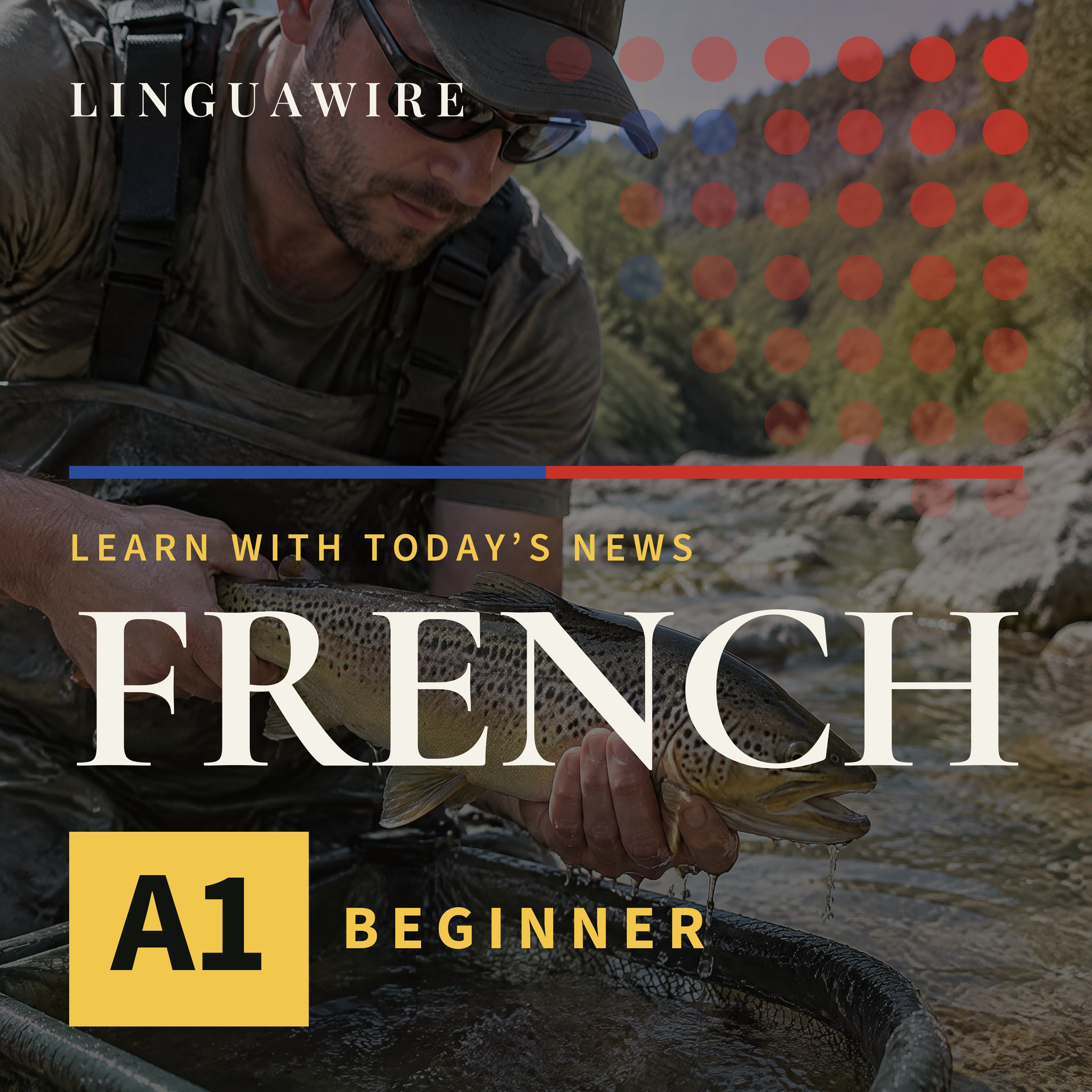 A1 French News | Drought Sends Nearly 9,600 Jura Fish to Safety episode artwork
