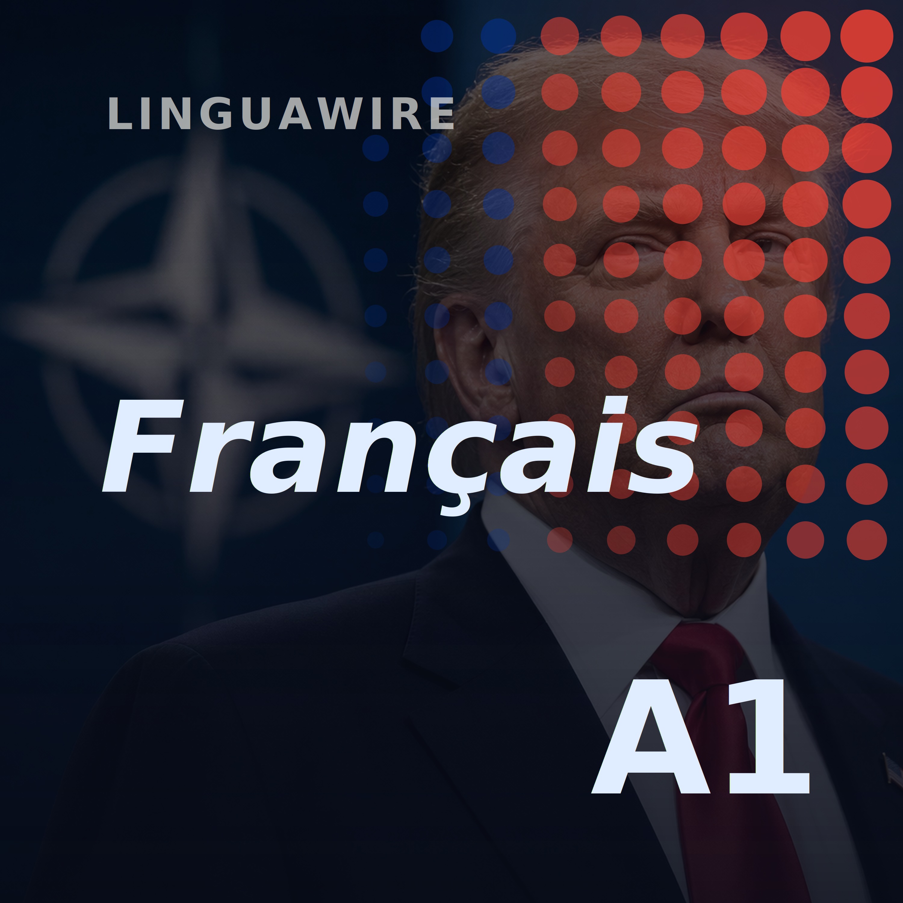 A1 French News | Can Trump Shake Up Nato Again? episode artwork