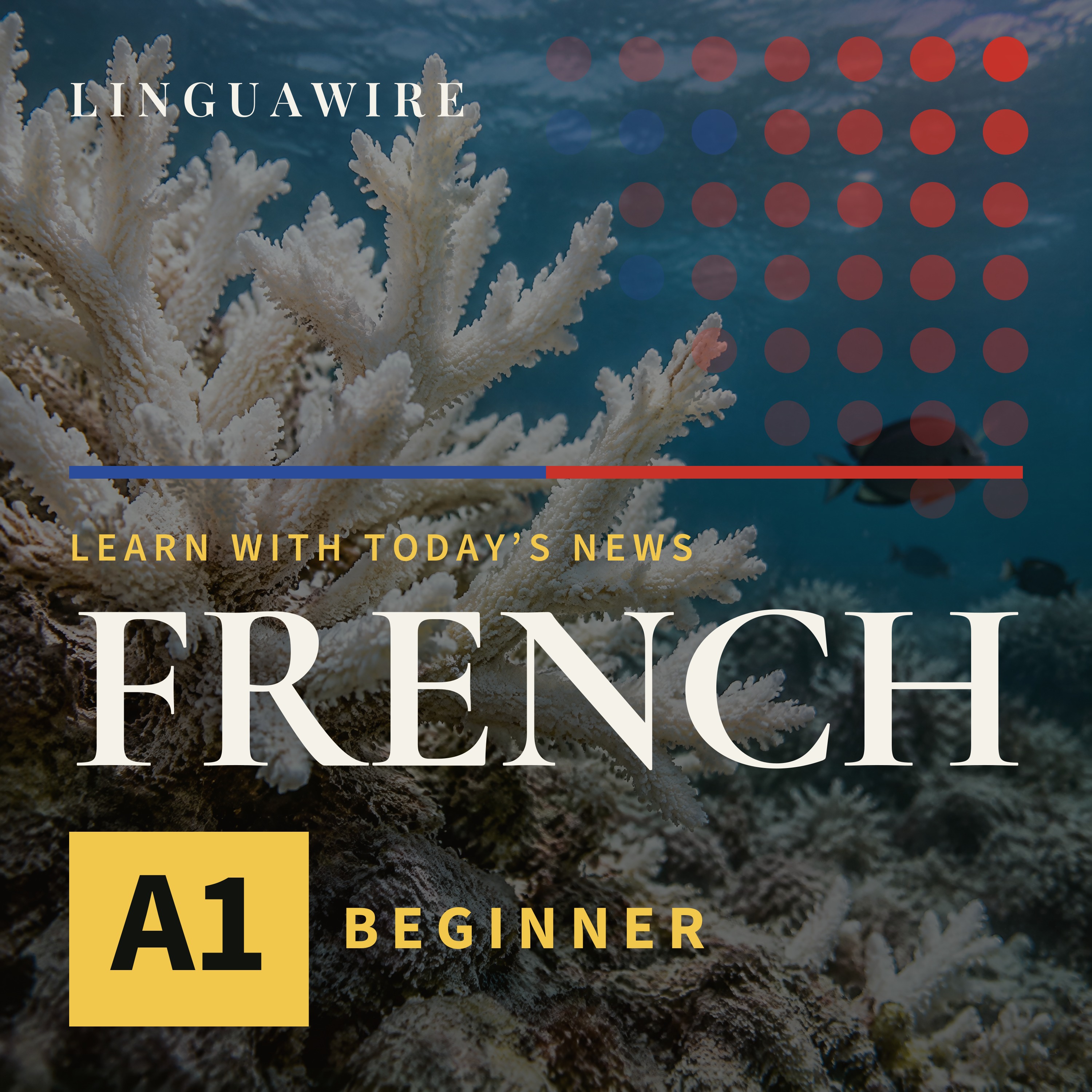 A1 French News | Coral Reefs Face a Major Threat by 2075