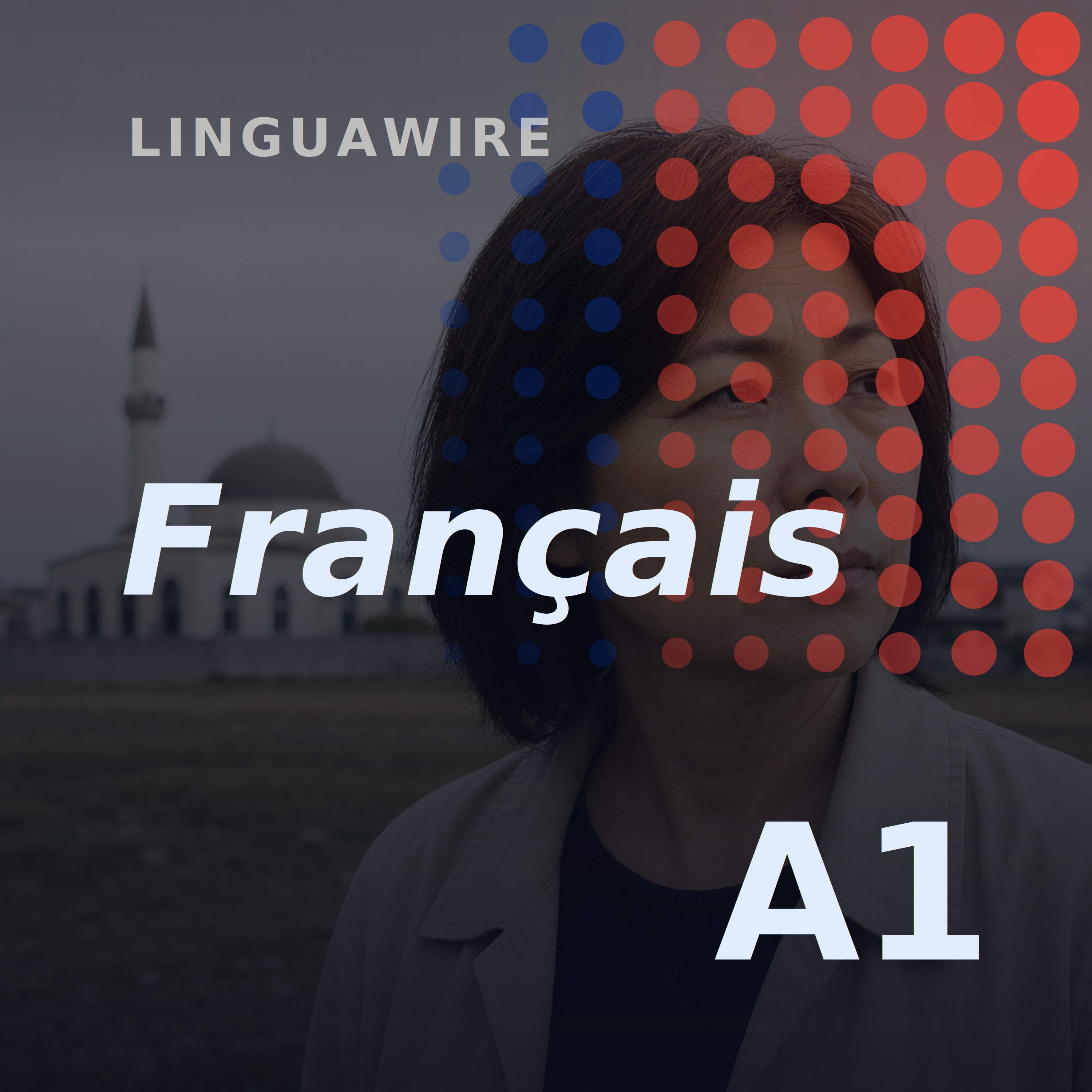 A1 French News | Why This Japanese Town Is Fighting a New Mosque episode artwork