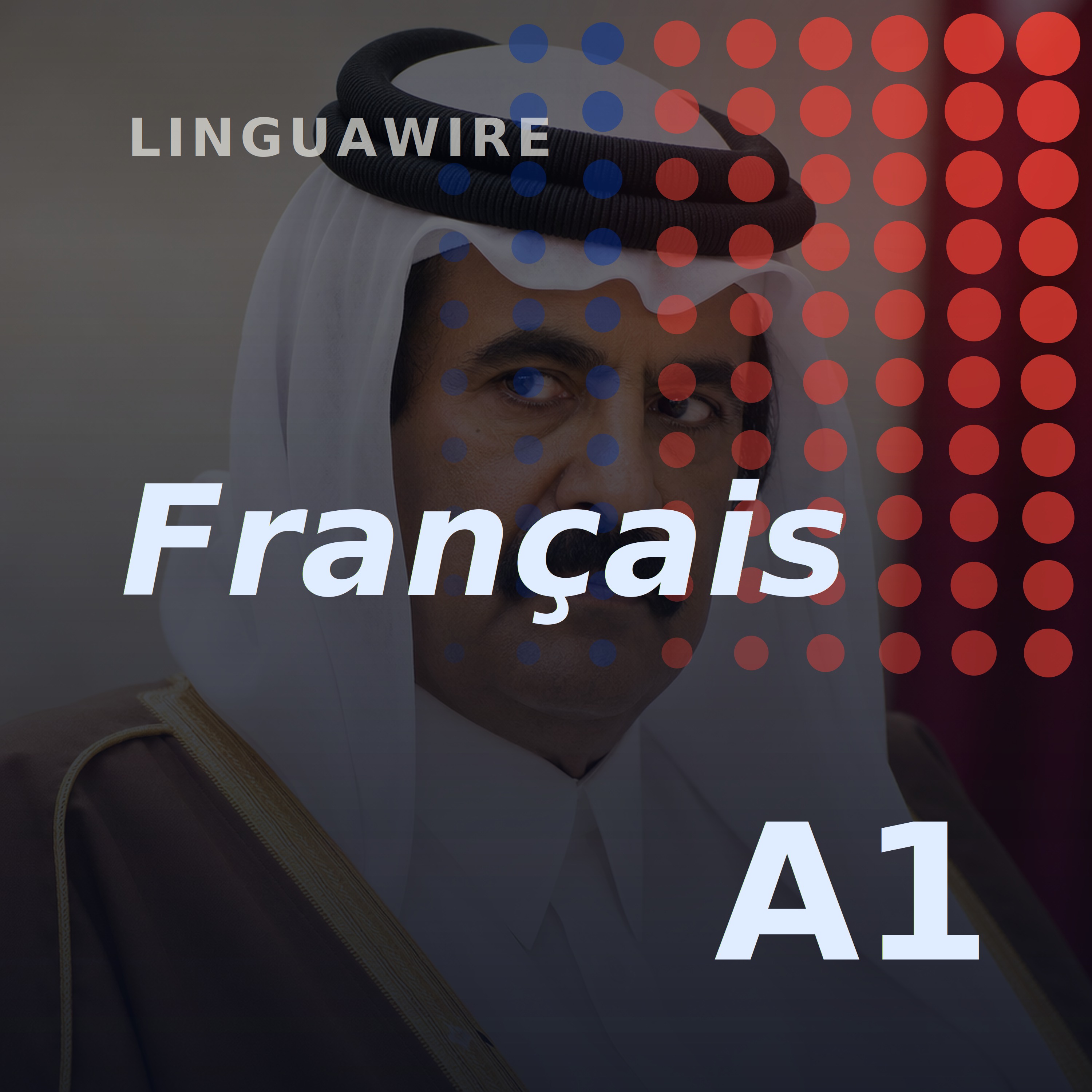 A1 French News | Qatar's Former Leader Dies Aged 74 episode artwork