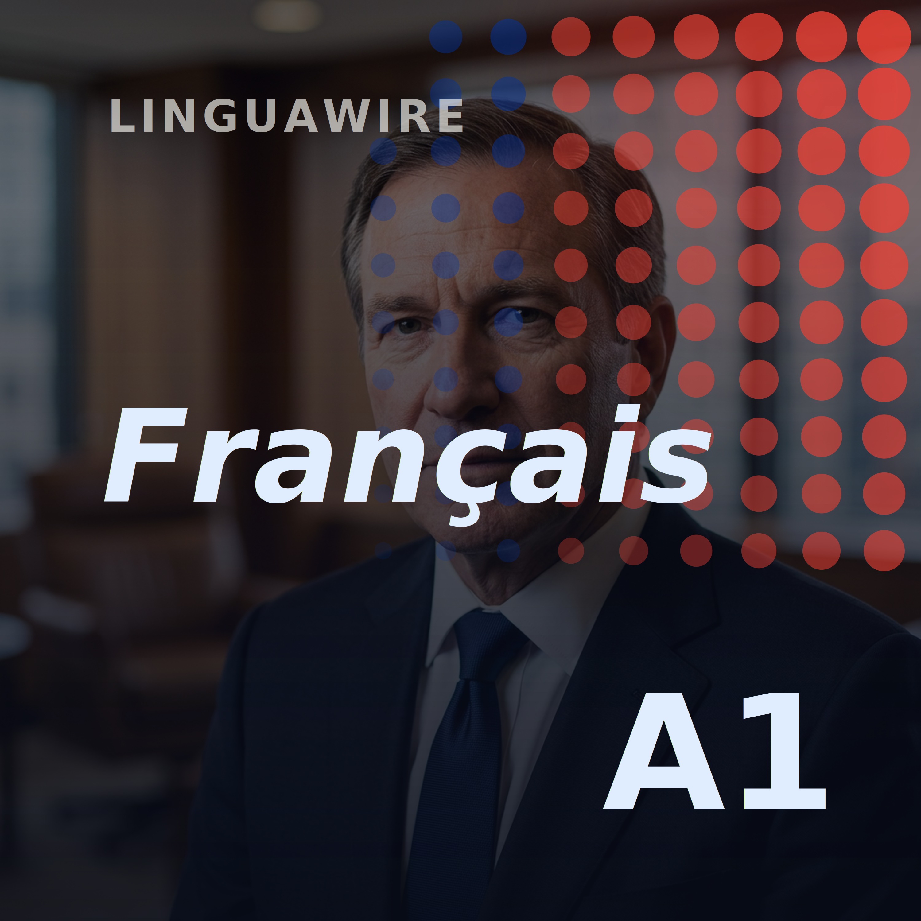 A1 French News | Why the US Unblocked Anthropic's AI Tools episode artwork