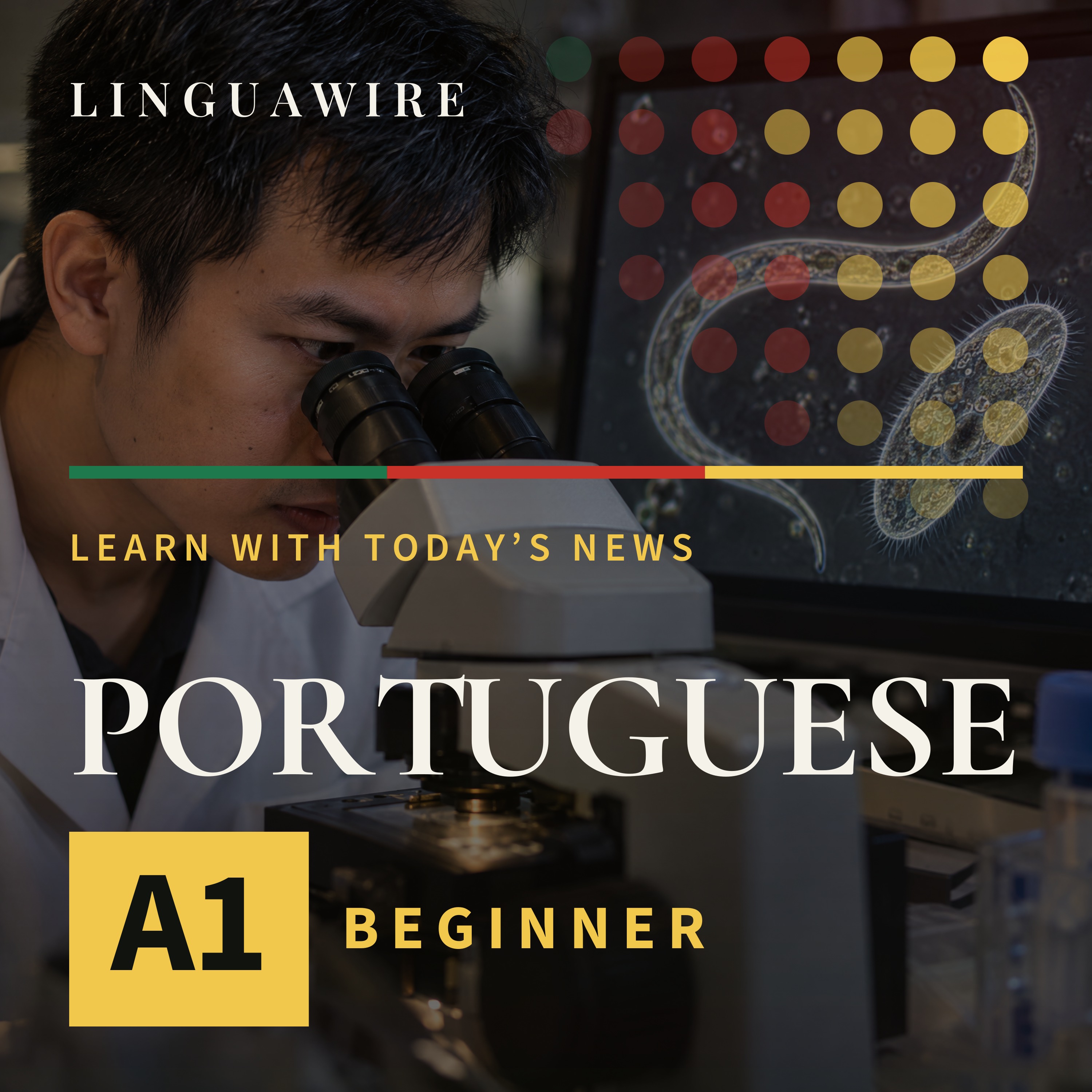 A1 European Portuguese News | Why Vietnam Has a New Microscopy Video Winner