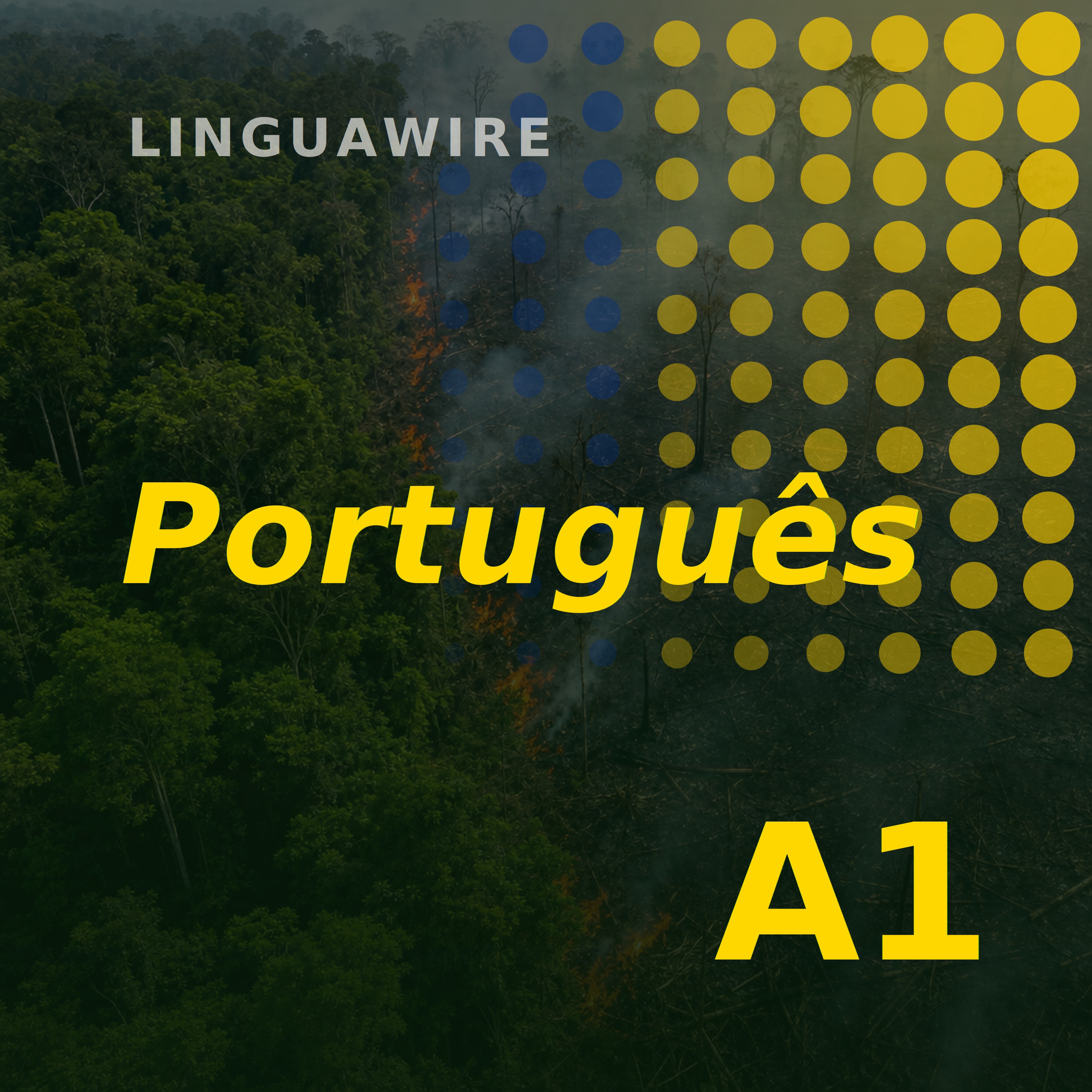 A1 Brazilian Portuguese News | Brazil's Amazon Burns Far Less in 2025 episode artwork