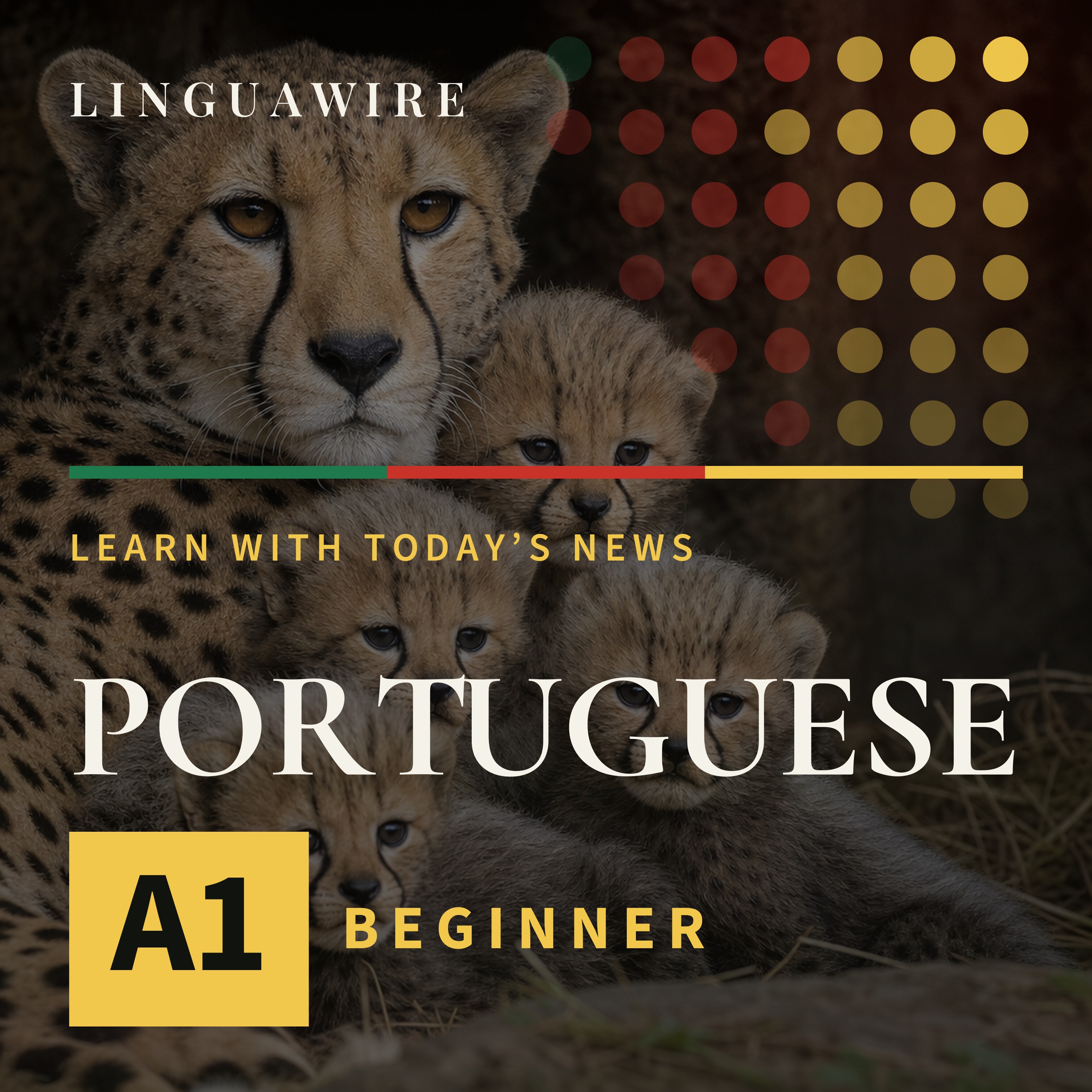 A1 European Portuguese News | How Five Cheetah Cubs Survived a Difficult Start episode artwork