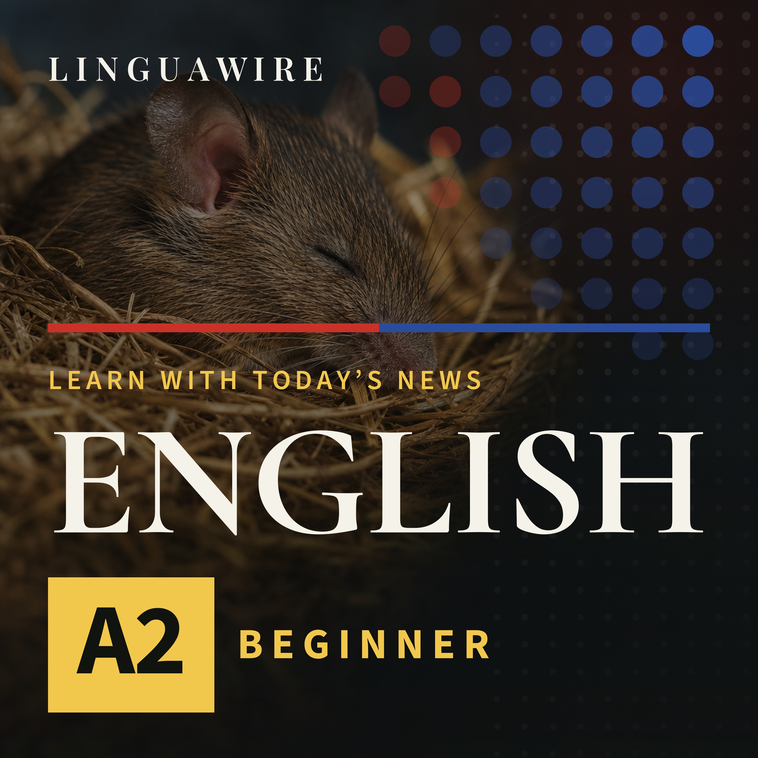 A2 English News | Mice Lose Synapses but Keep Their Memories