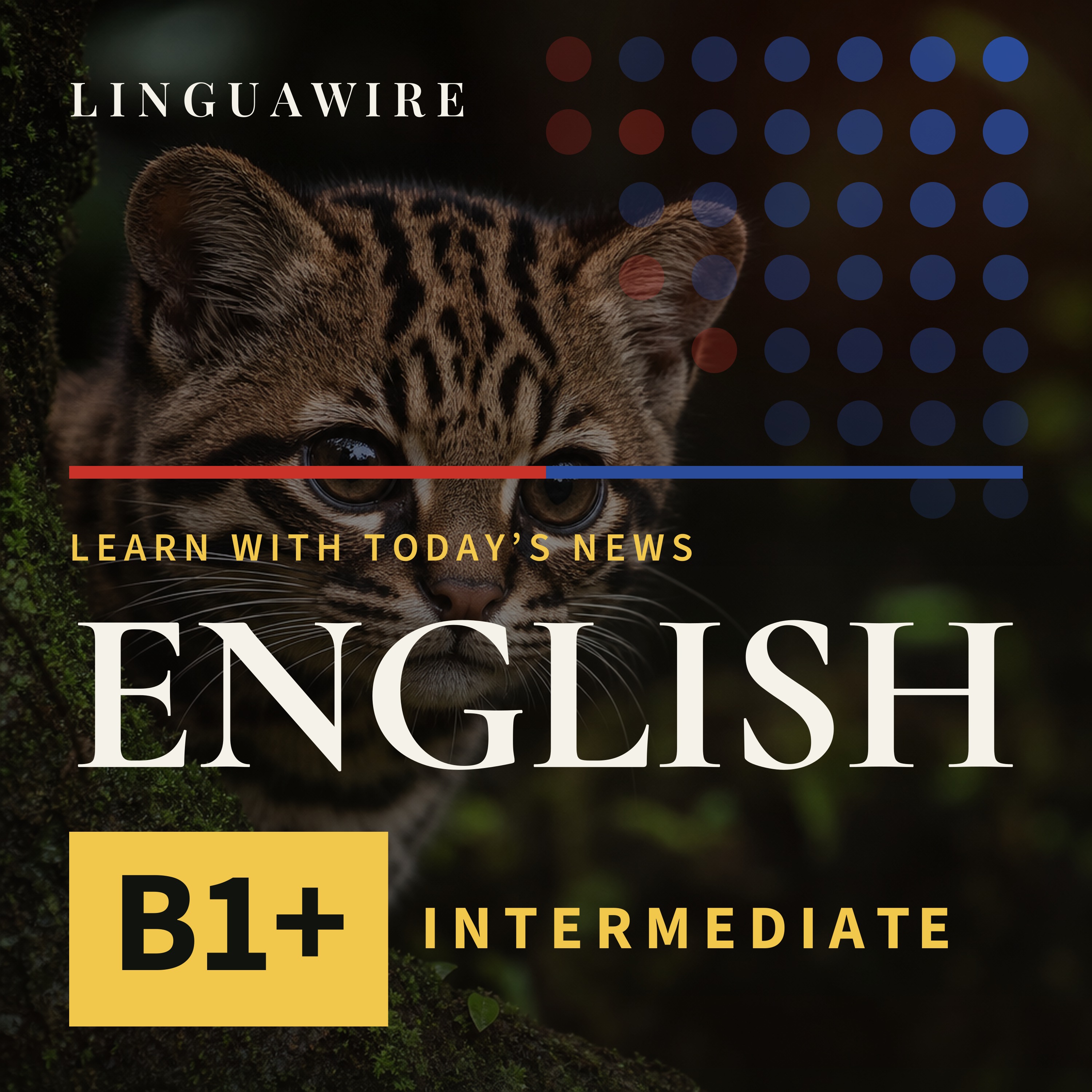 B1 English News | New Cat Species Found After 100 Years episode artwork