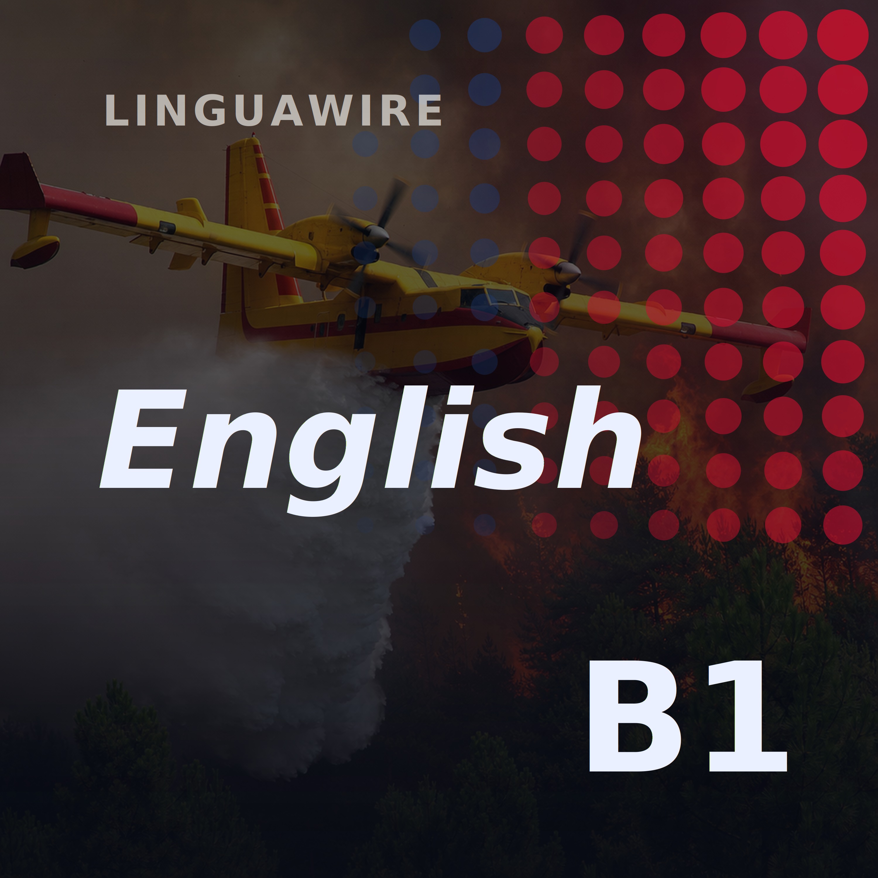 B1 English News | Hectares Burn as Fire Near Paris Spreads episode artwork