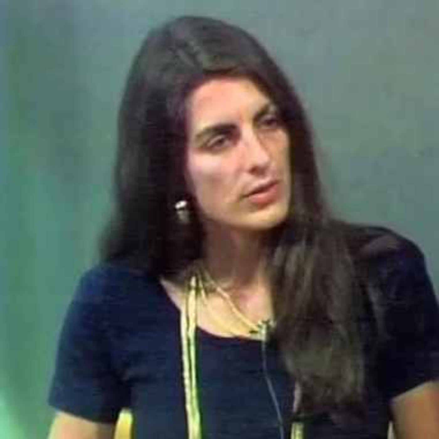 Christine Chubbuck: The TV Reporter Who Killed Herself Live on Air