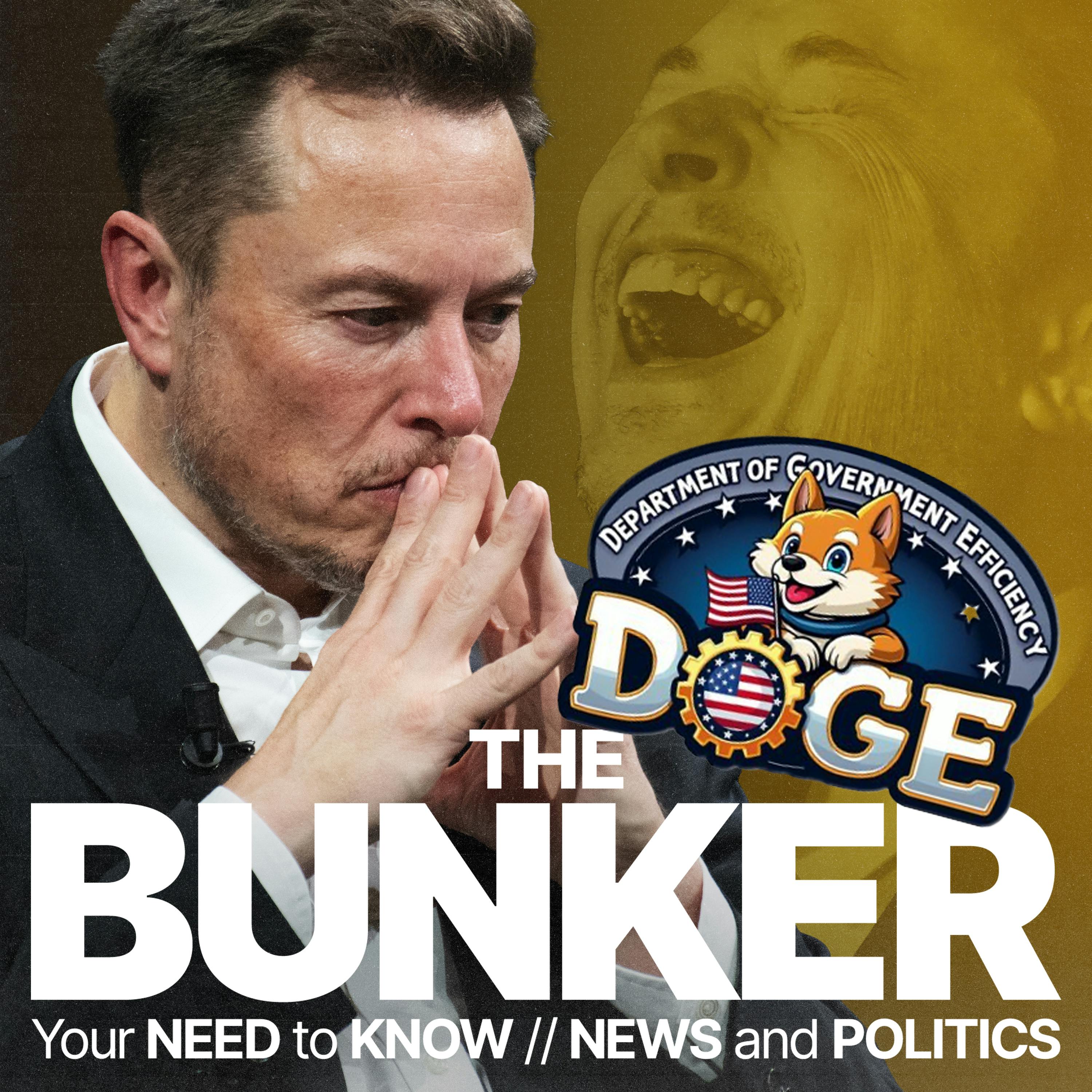 Why Elon Musk’s ‘DOGE’ plan is doomed to fail