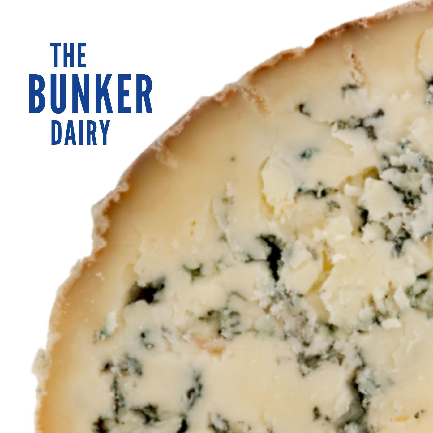Daily: Season’s Brie-Eatings! Christmas cheese’n’crackers with Ned Palmer
