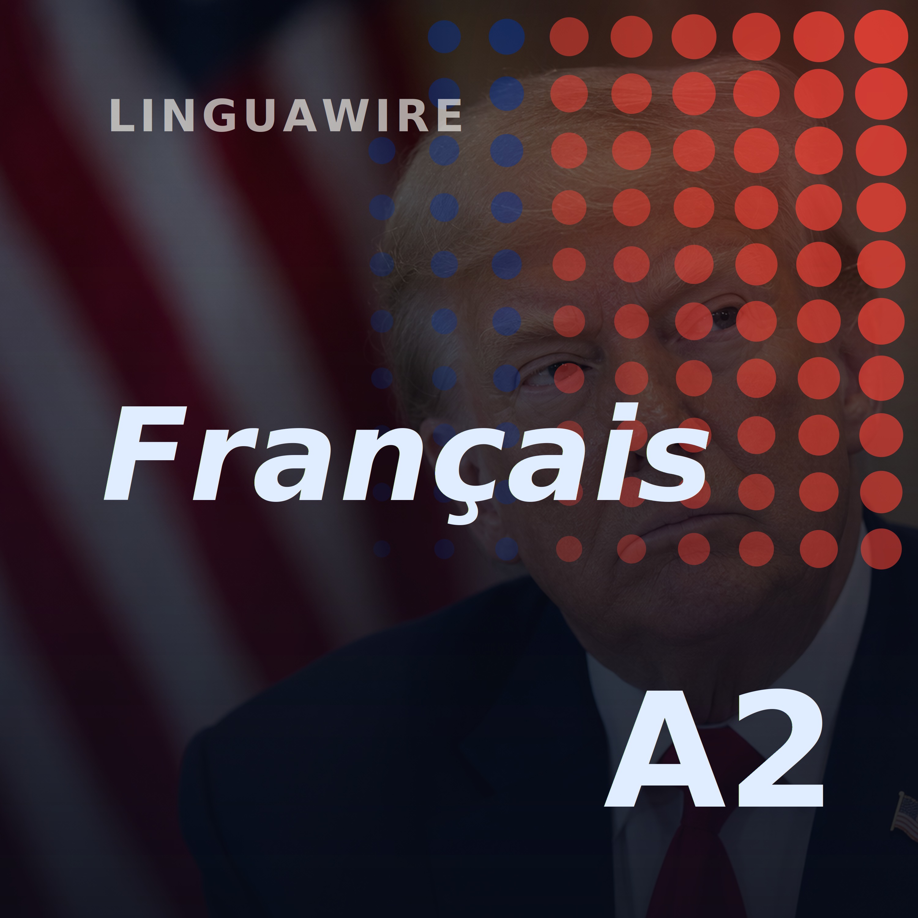 A2 French News | Trump's 50% Tariffs Put Canada on Alert episode artwork