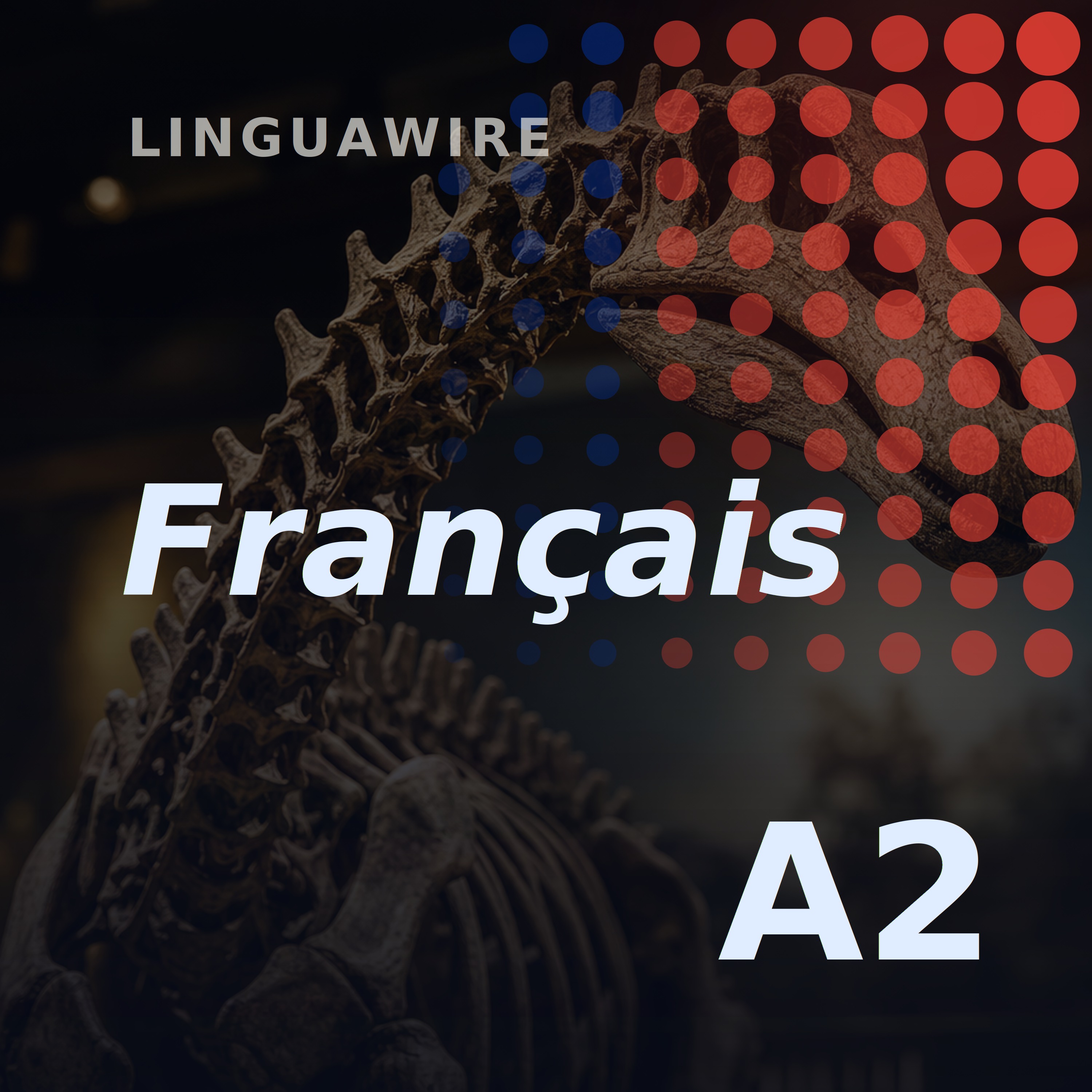 A2 French News | A 20m Dinosaur Found in Thailand episode artwork