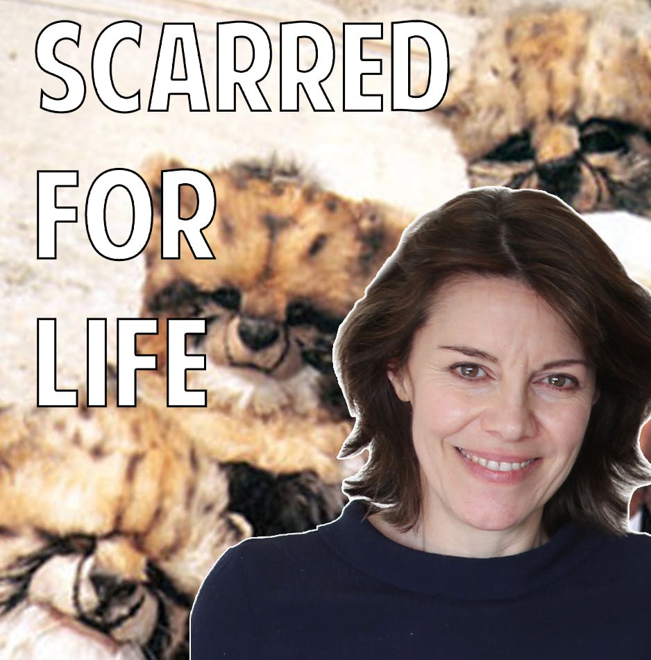 Lisa Bowerman episode artwork