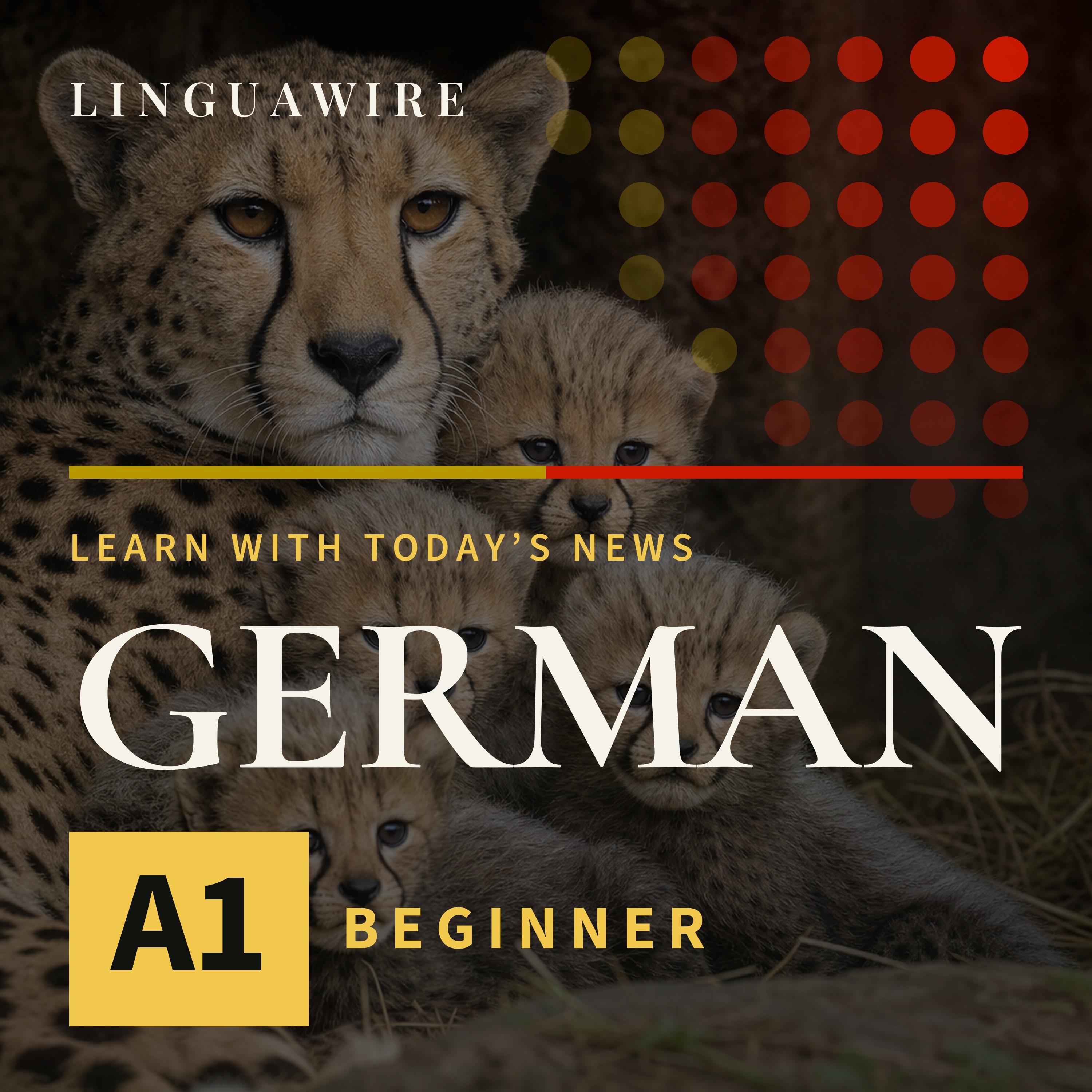 A1 German News | How Five Cheetah Cubs Survived a Difficult Start episode artwork
