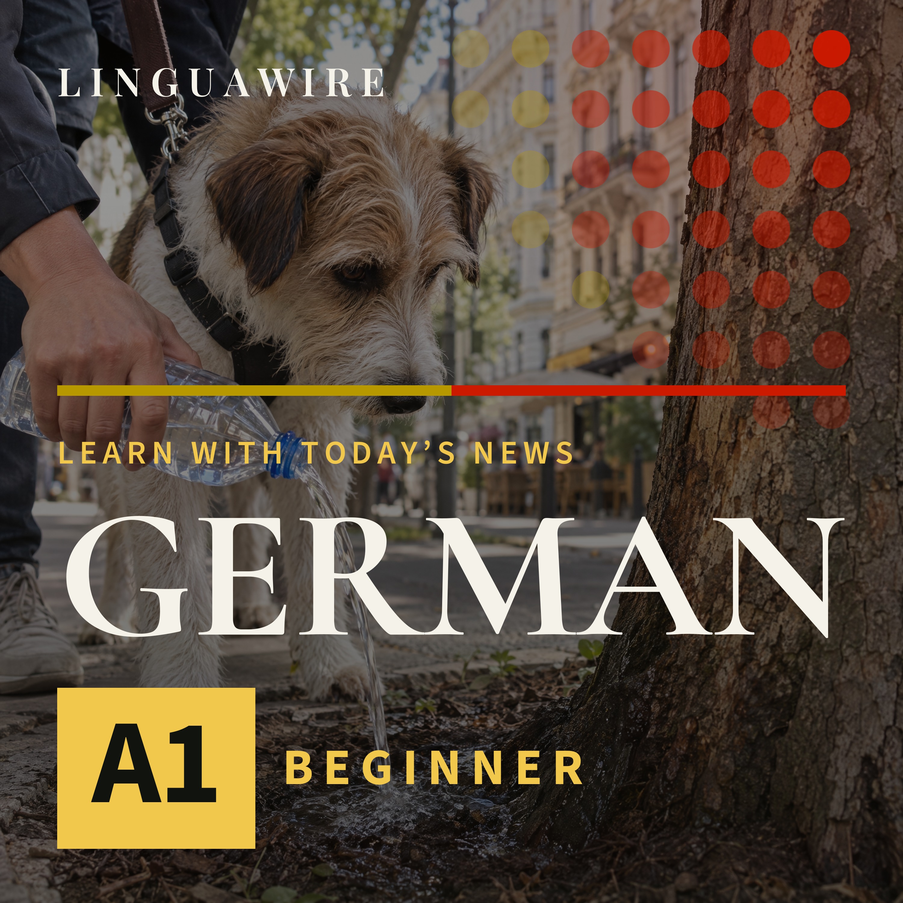 A1 German News | Why Vienna Dog Owners Need Water Bottles