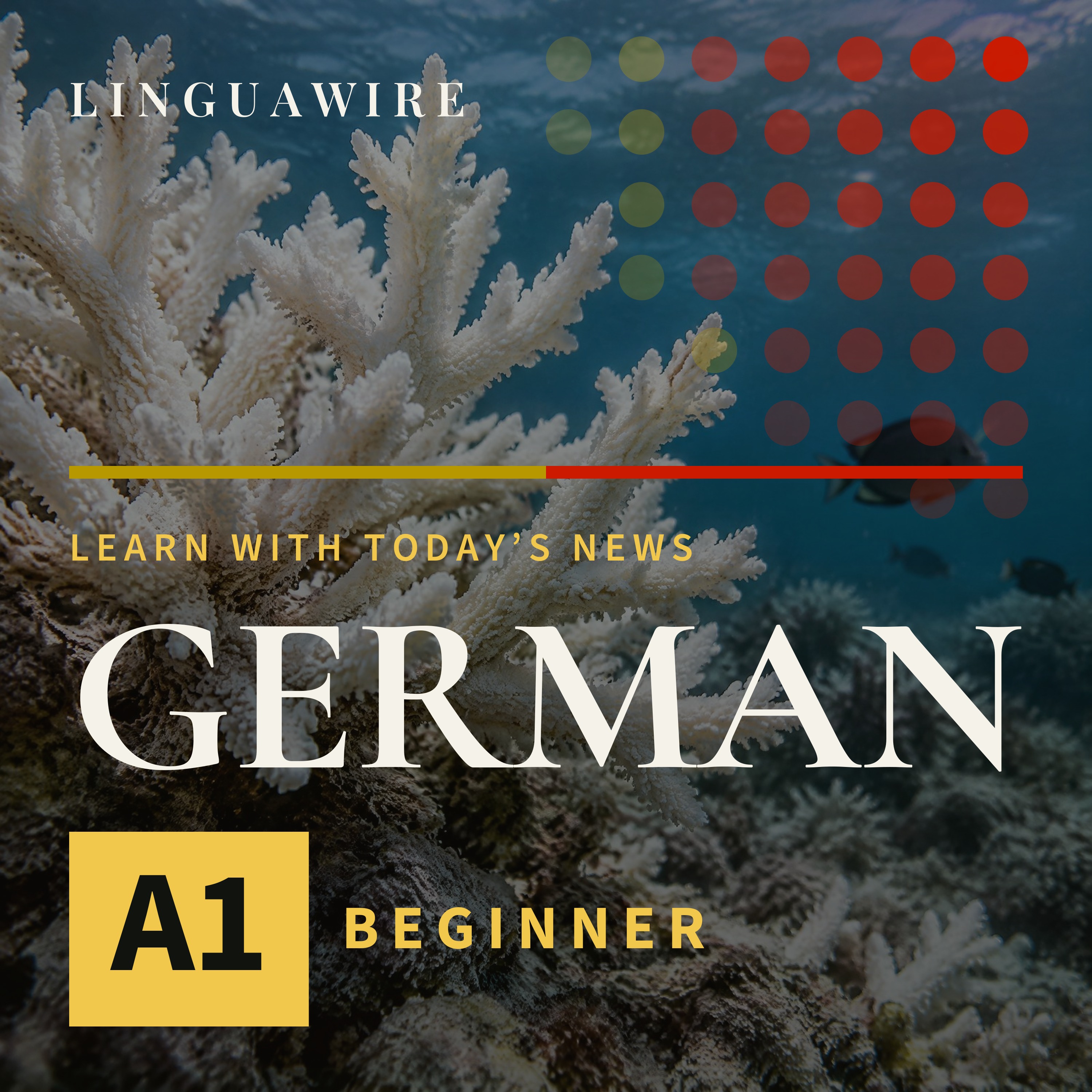 A1 German News | Coral Reefs Face a Major Threat by 2075
