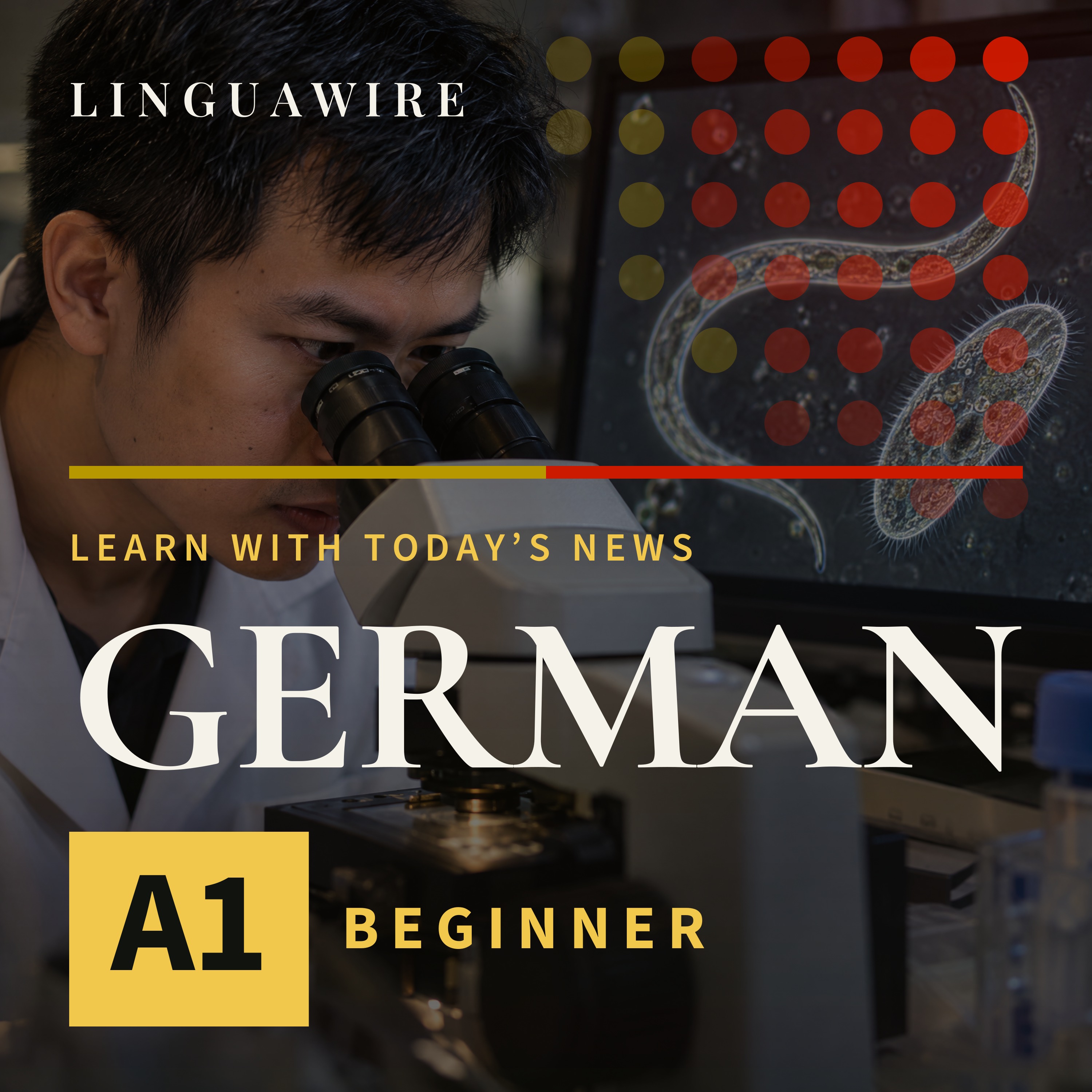 A1 German News | Why Vietnam Has a New Microscopy Video Winner