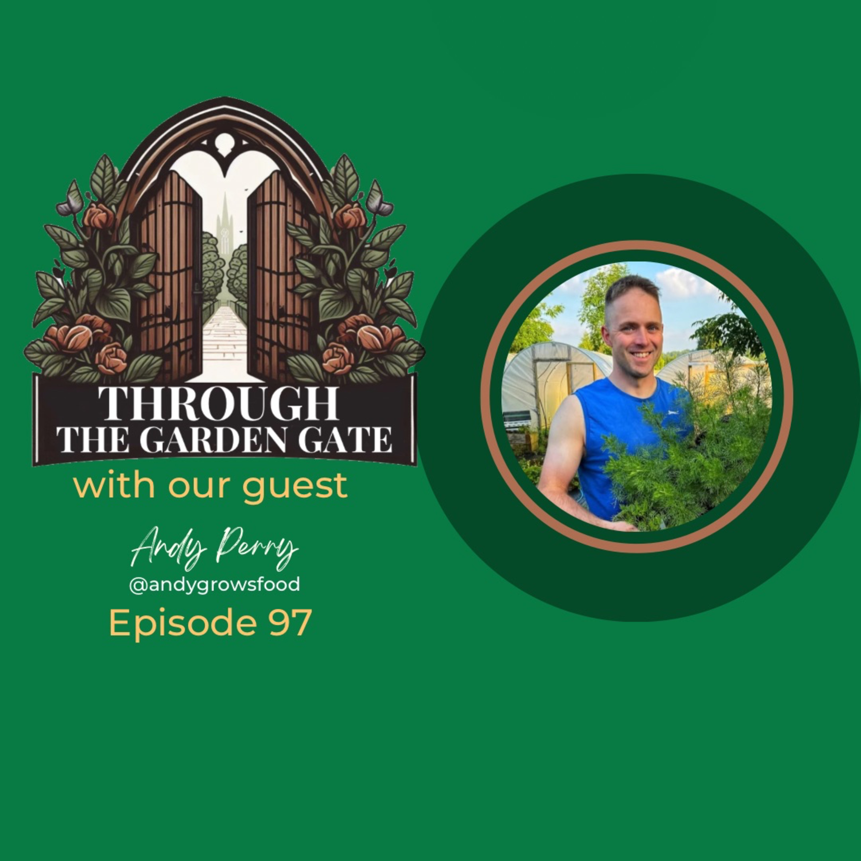 Episode 97 : Andy Perry 🌶️ episode artwork