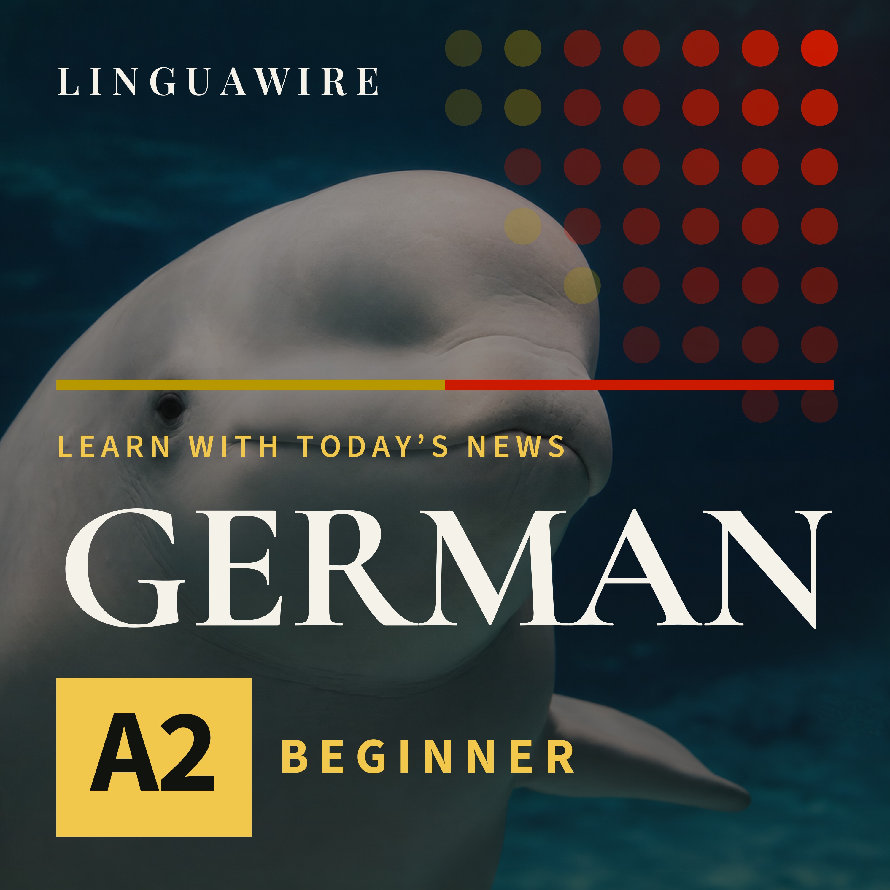 A2 German News | Seven Beluga Whales Arrive in Texas episode artwork